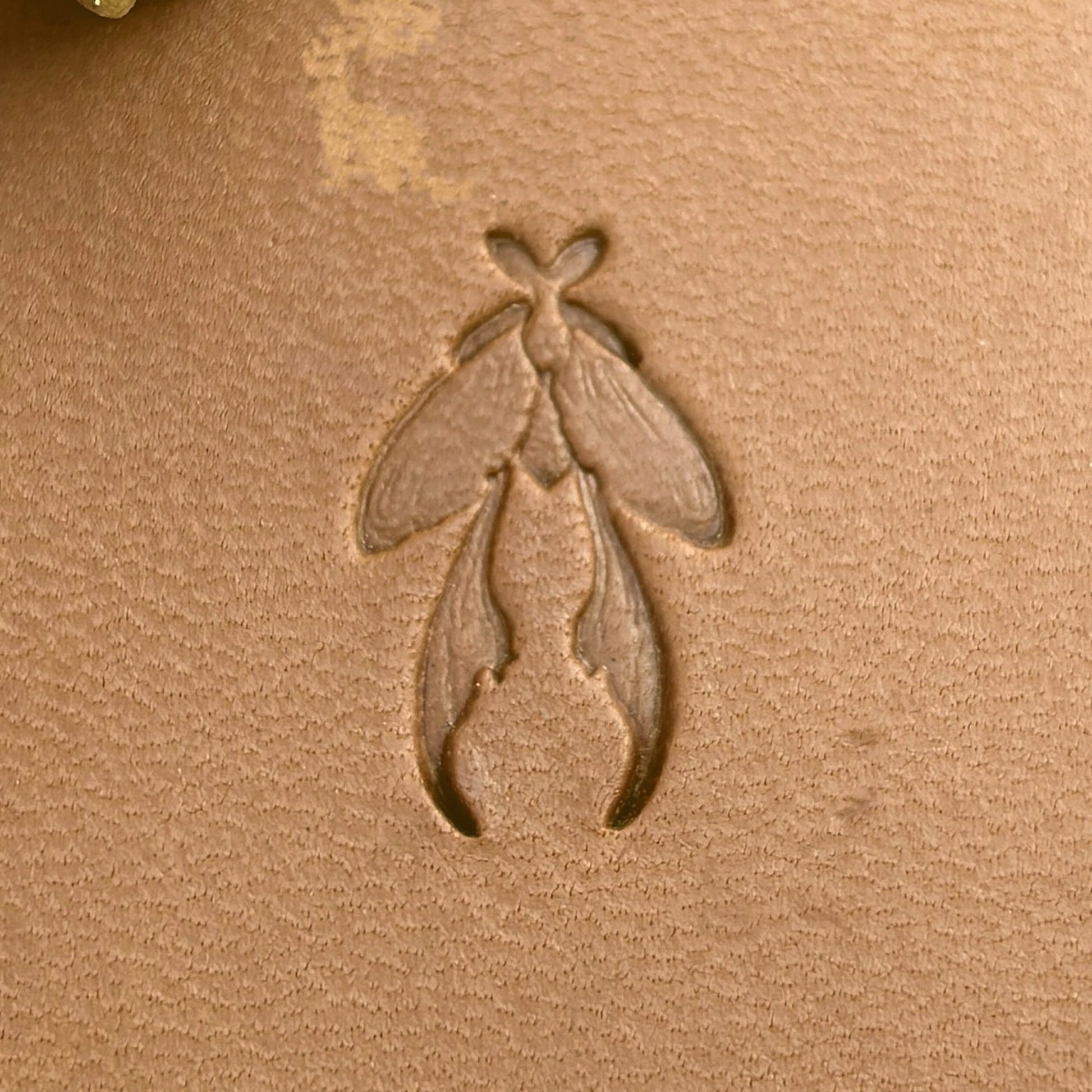 Insect Long Wings leather stamp LT709 — pattern imprint on veg-tan leather