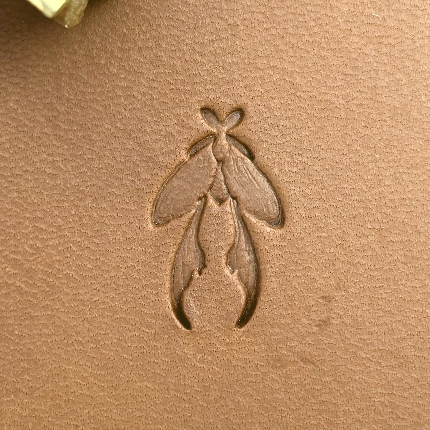 Insect Long Wings leather stamp LT709 — single impression on veg-tan leather