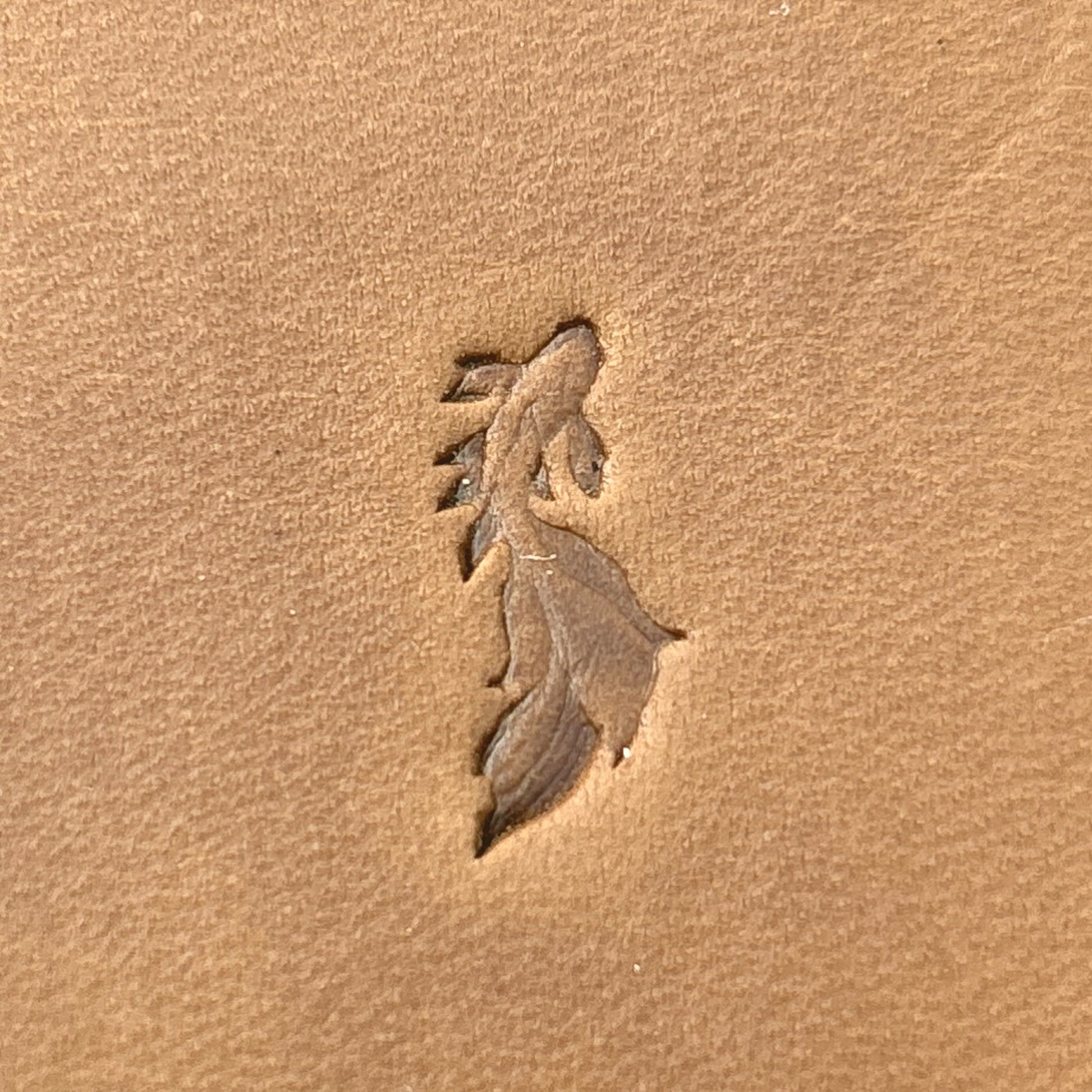 Flowing Fish leather stamp LT712 — pattern imprint on veg-tan leather