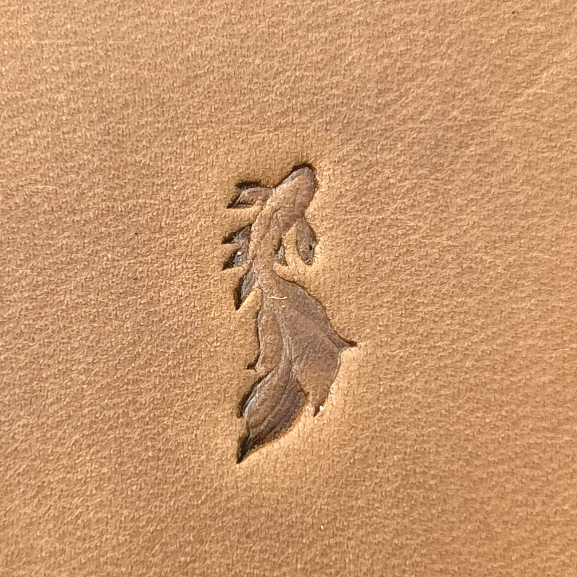 Flowing Fish leather stamp LT712 — single impression on veg-tan leather
