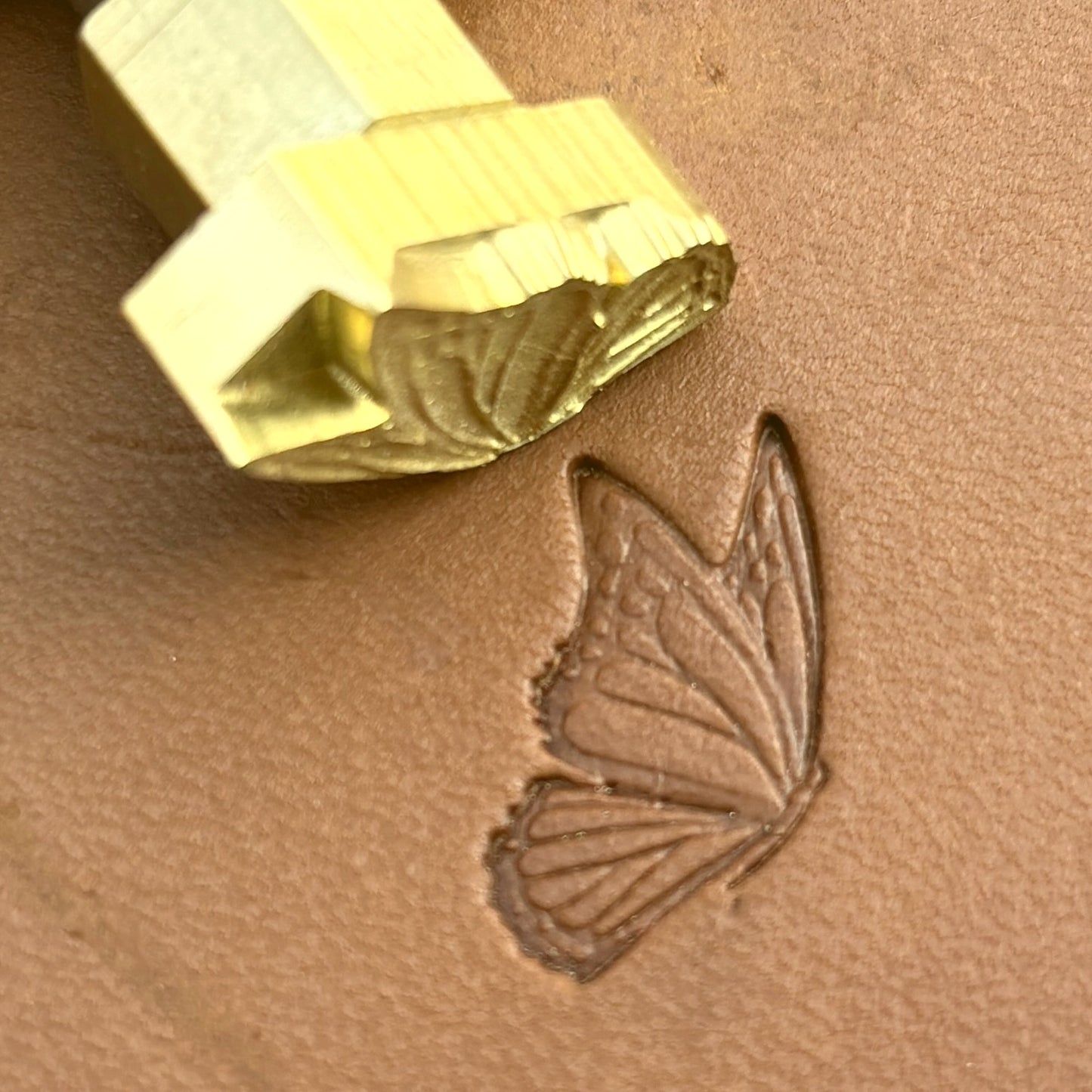 Butterfly leather stamp LT714 — brass stamping tool with imprint on natural veg-tan leather