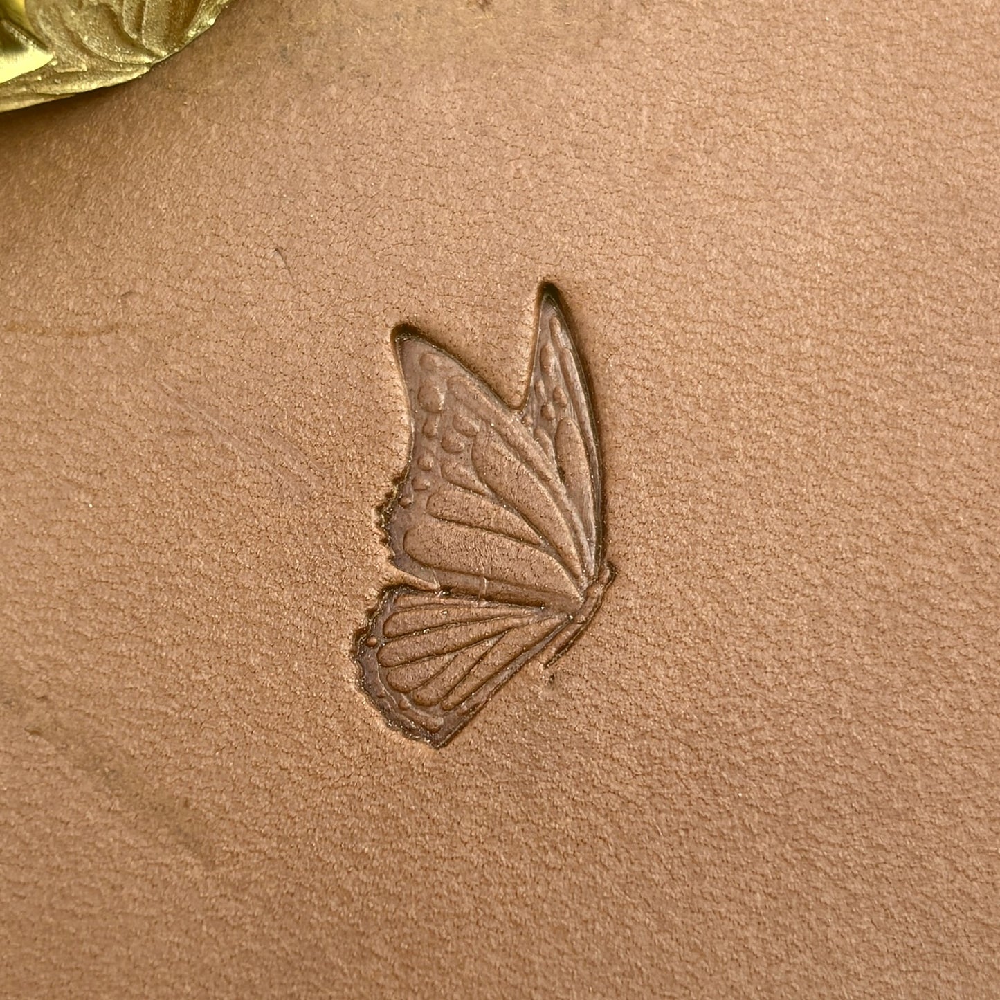 Butterfly leather stamp LT714 — pattern imprint on veg-tan leather