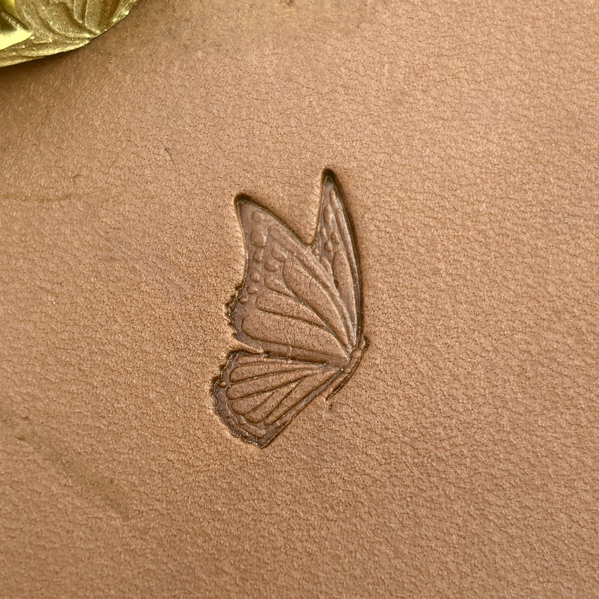 Butterfly leather stamp LT714 — pattern imprint on veg-tan leather