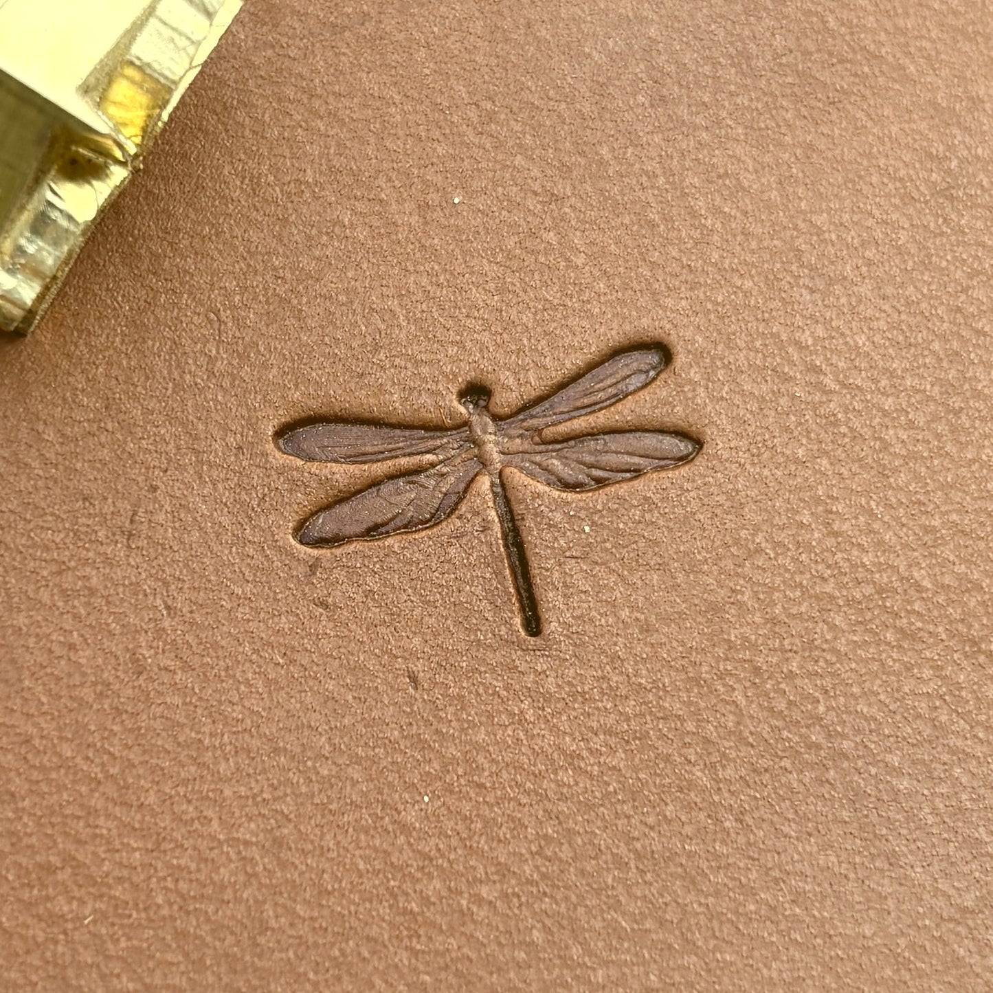 Dragonfly leather stamp LT715 — pattern imprint on veg-tan leather