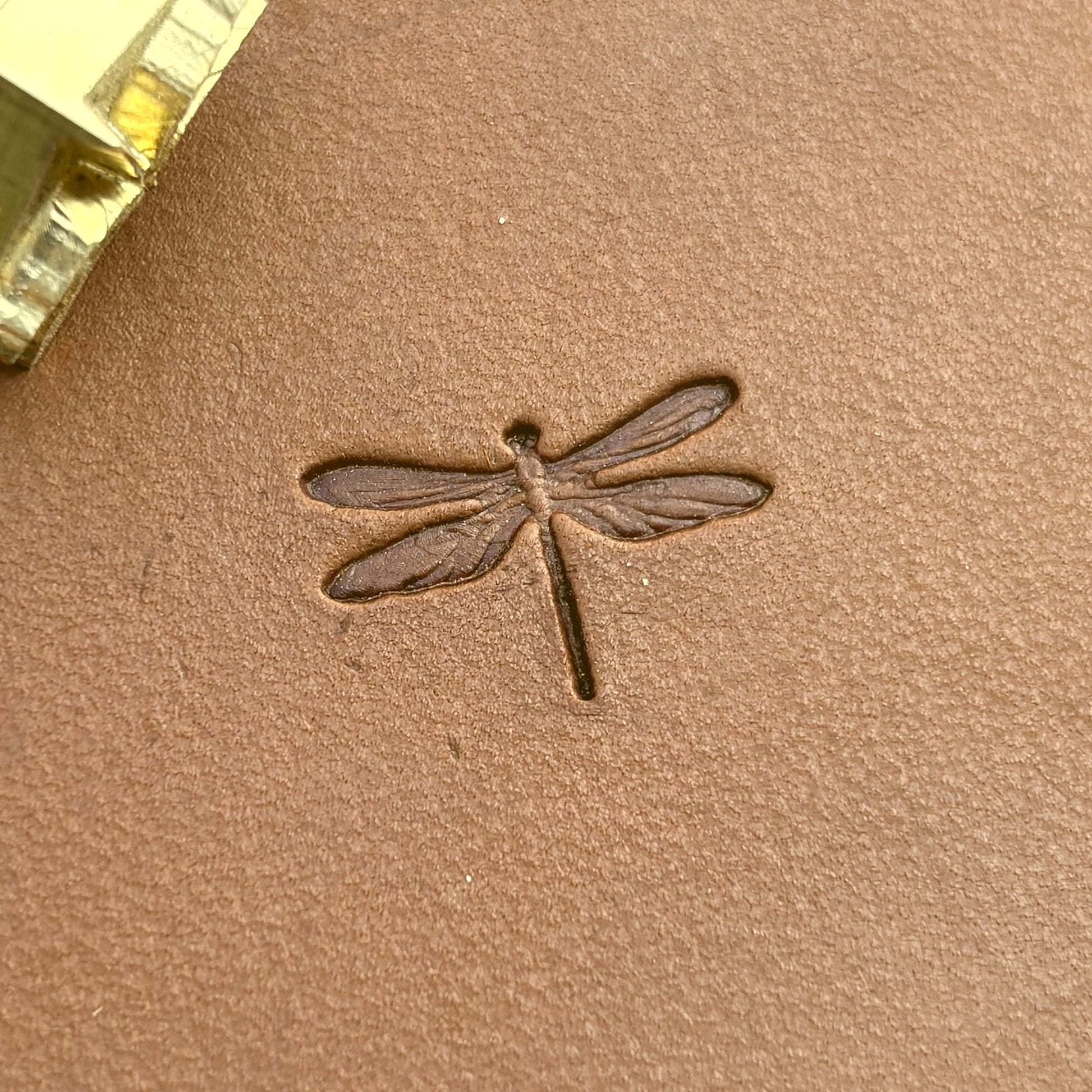 Dragonfly leather stamp LT715 — pattern imprint on veg-tan leather