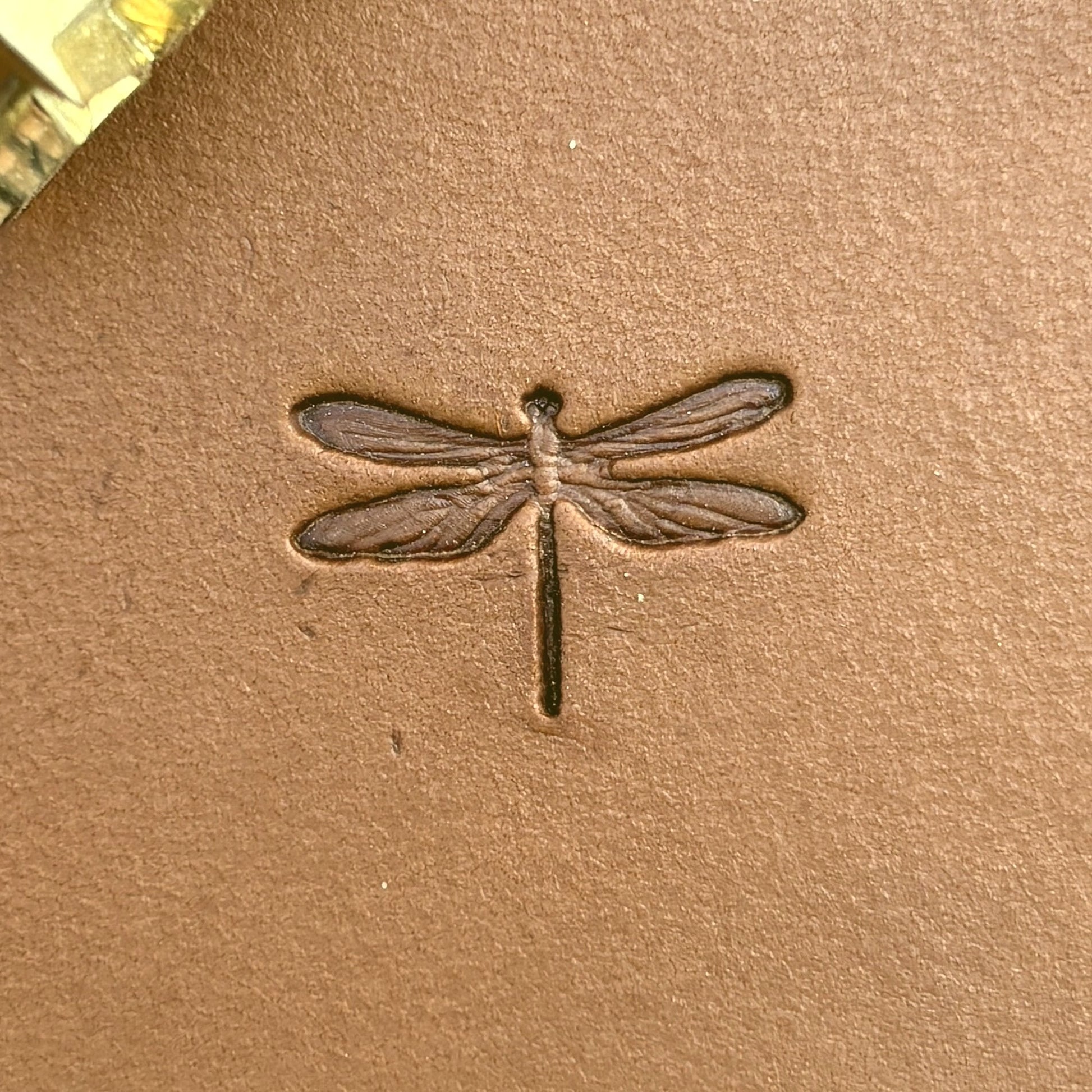 Dragonfly leather stamp LT715 — single impression on veg-tan leather