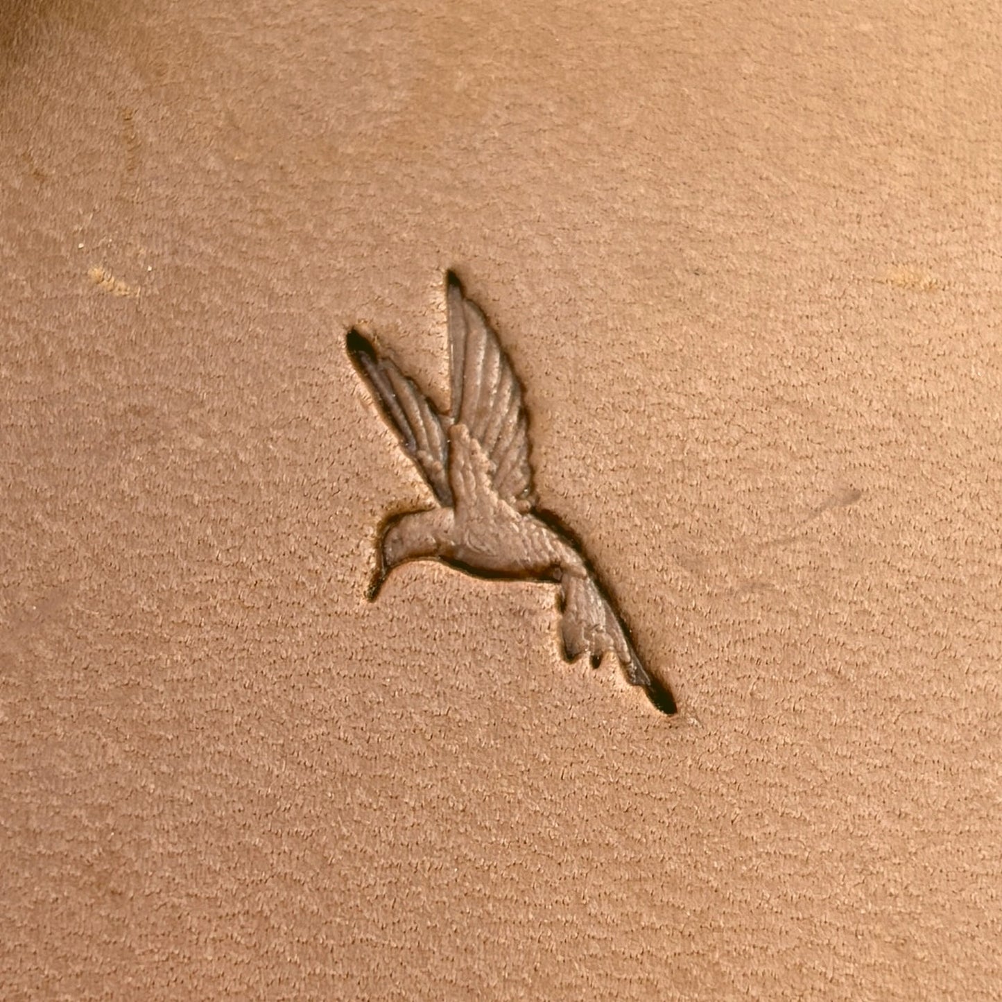 Hummingbird leather stamp LT717 — pattern imprint on veg-tan leather