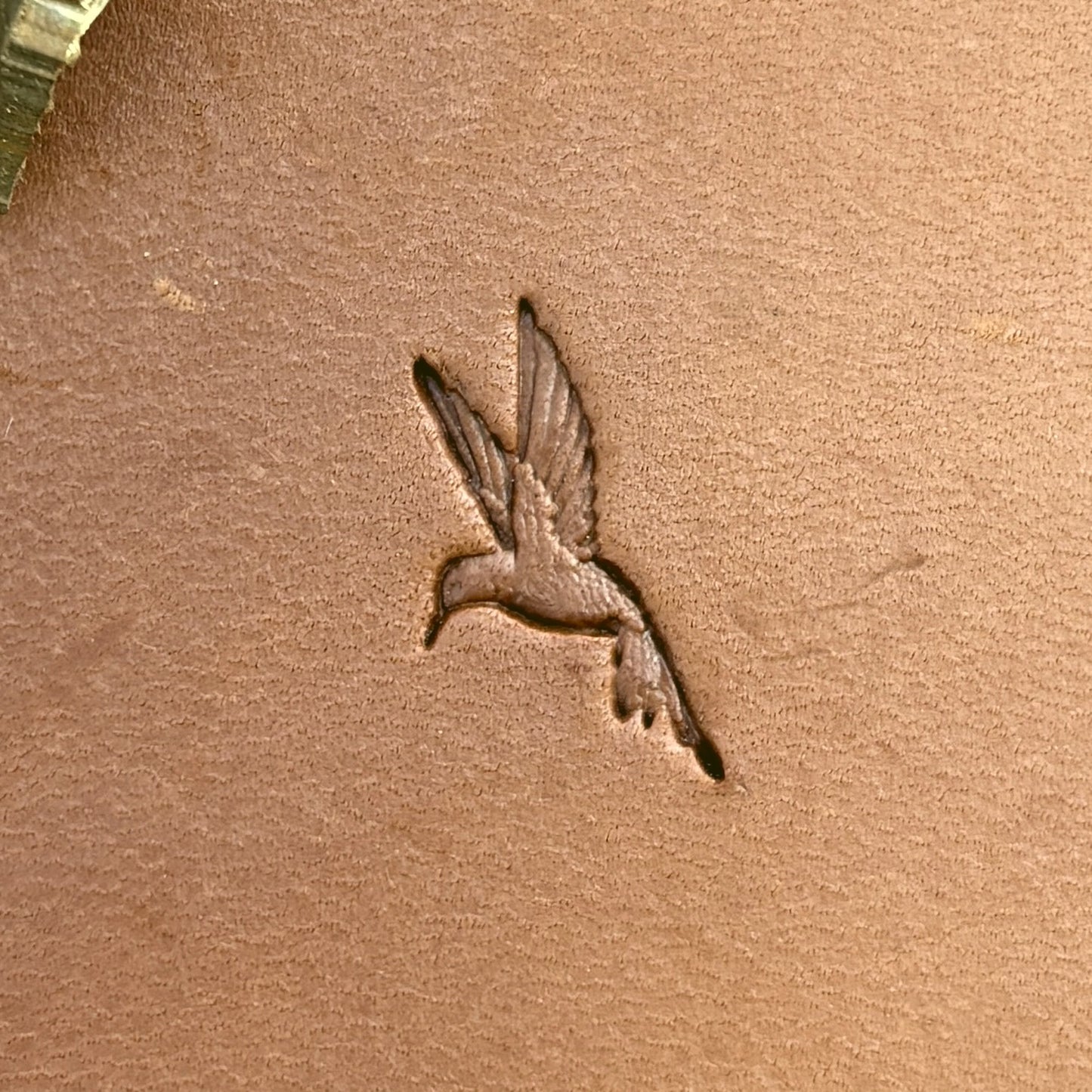 Hummingbird leather stamp LT717 — single impression on veg-tan leather