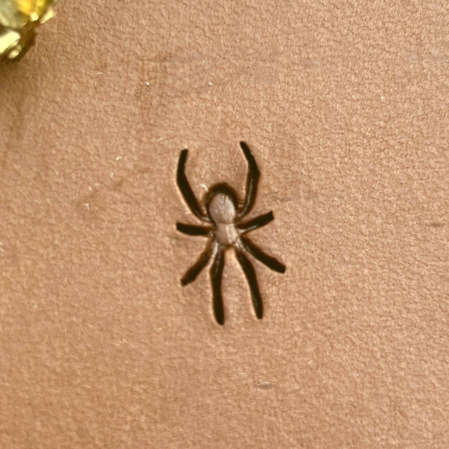 Spider leather stamp LT720 — pattern imprint on veg-tan leather