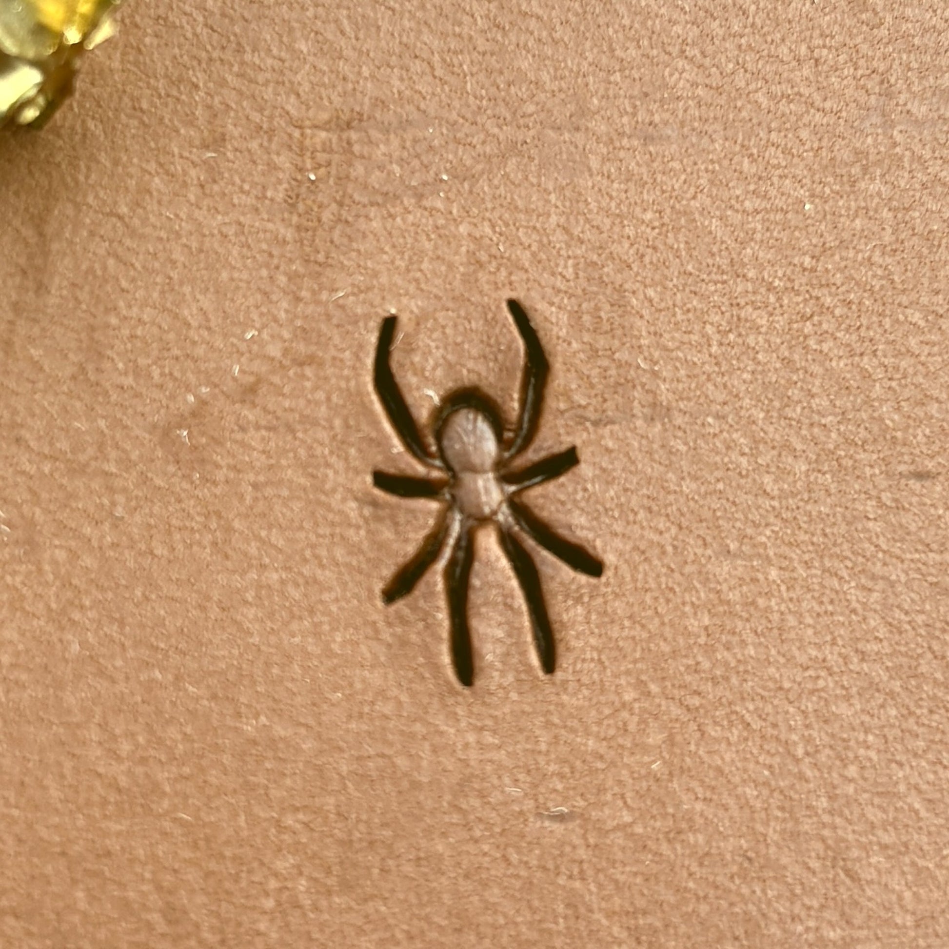 Spider leather stamp LT720 — pattern imprint on veg-tan leather