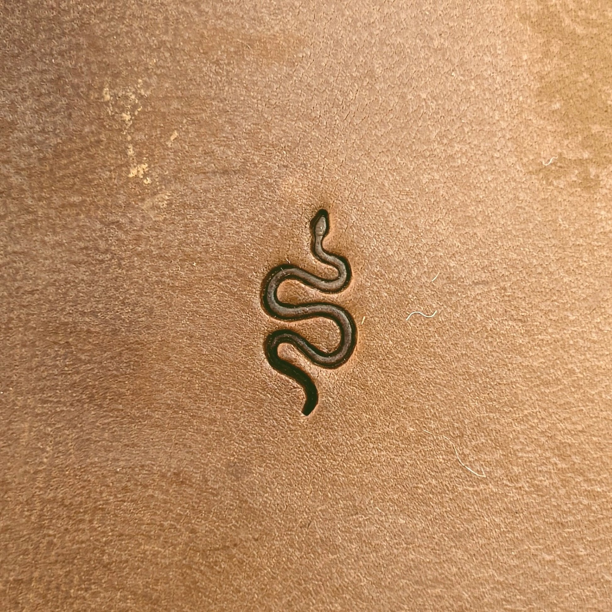 Curvy Line Snake leather stamp LT721 — single impression on veg-tan leather