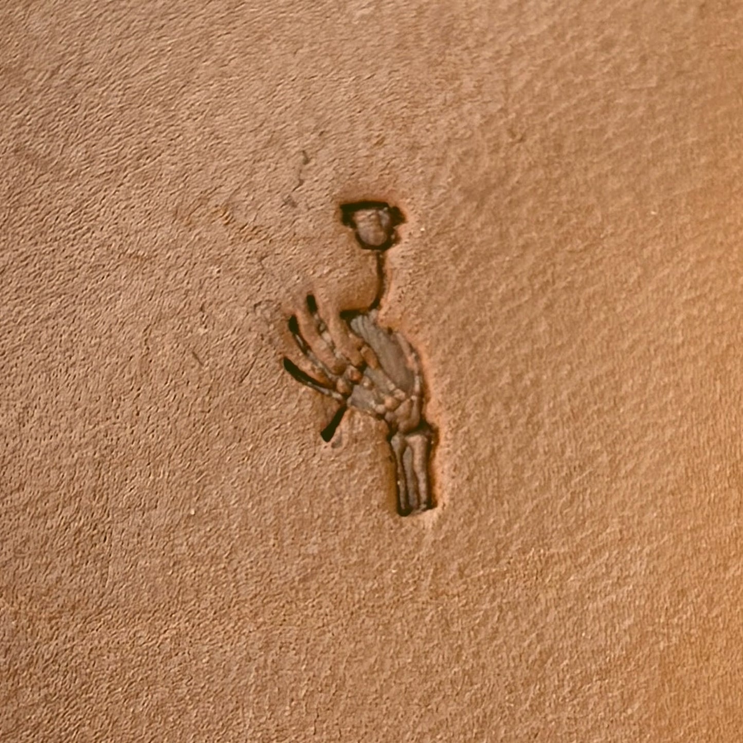 Skeleton Hand and Flower leather stamp LT726 — pattern imprint on veg-tan leather