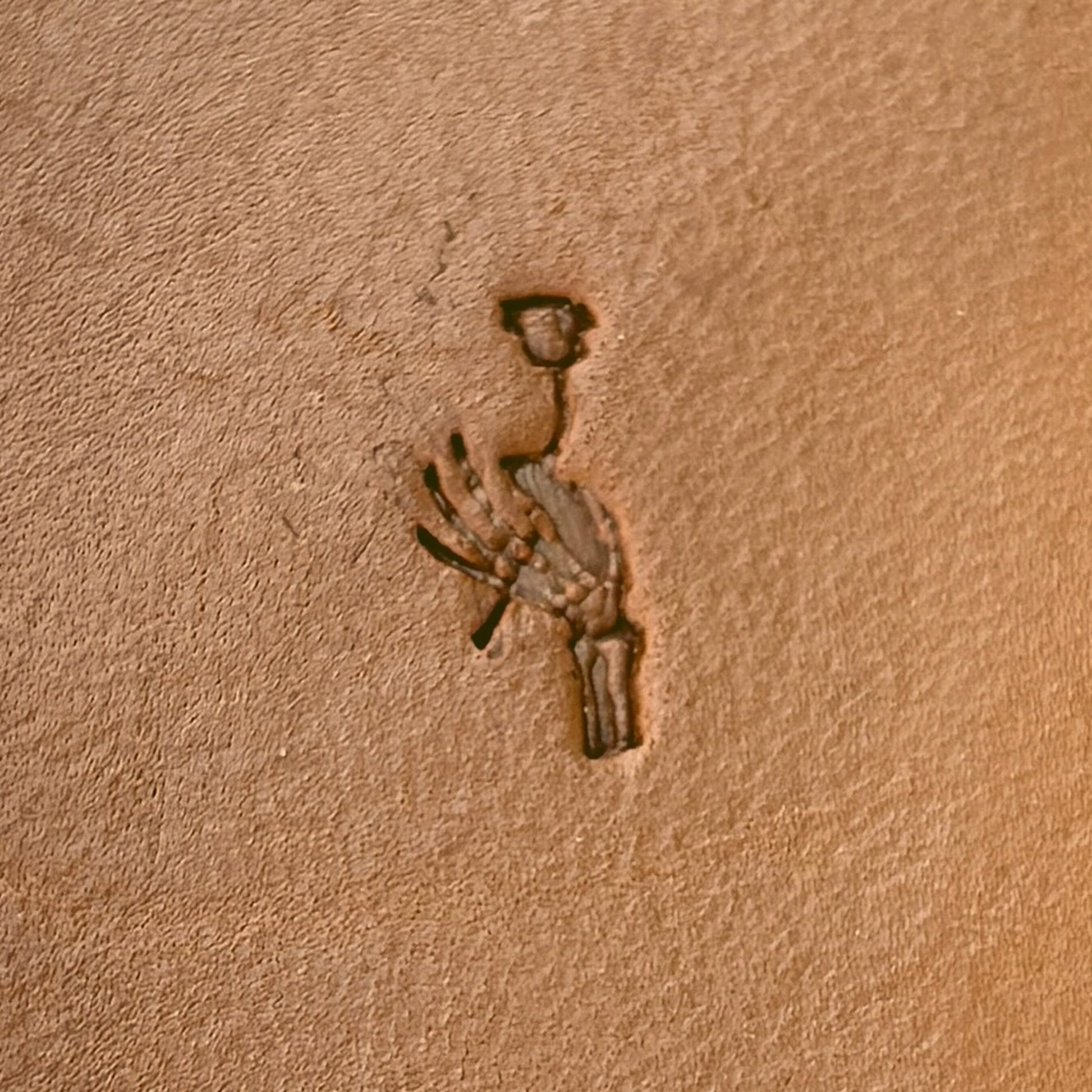 Skeleton Hand and Flower leather stamp LT726 — pattern imprint on veg-tan leather