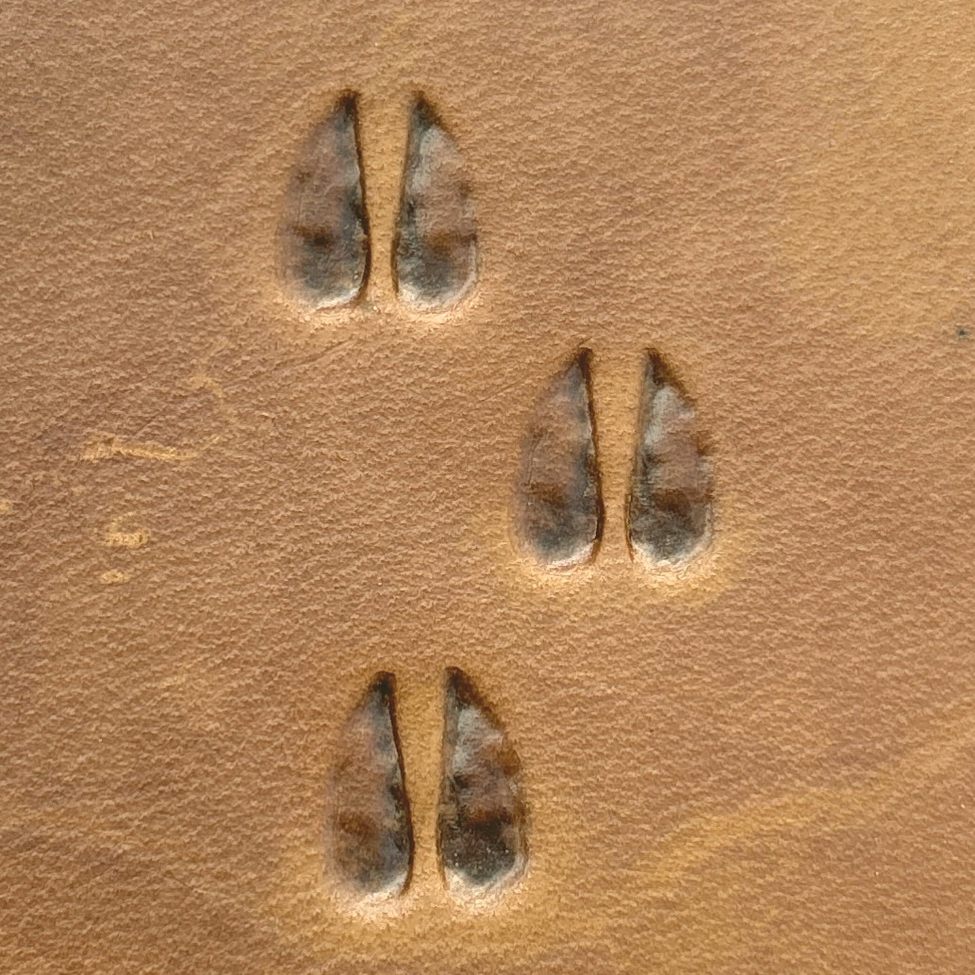 Hoof Tracks leather stamp LT744 — pattern imprint on veg-tan leather