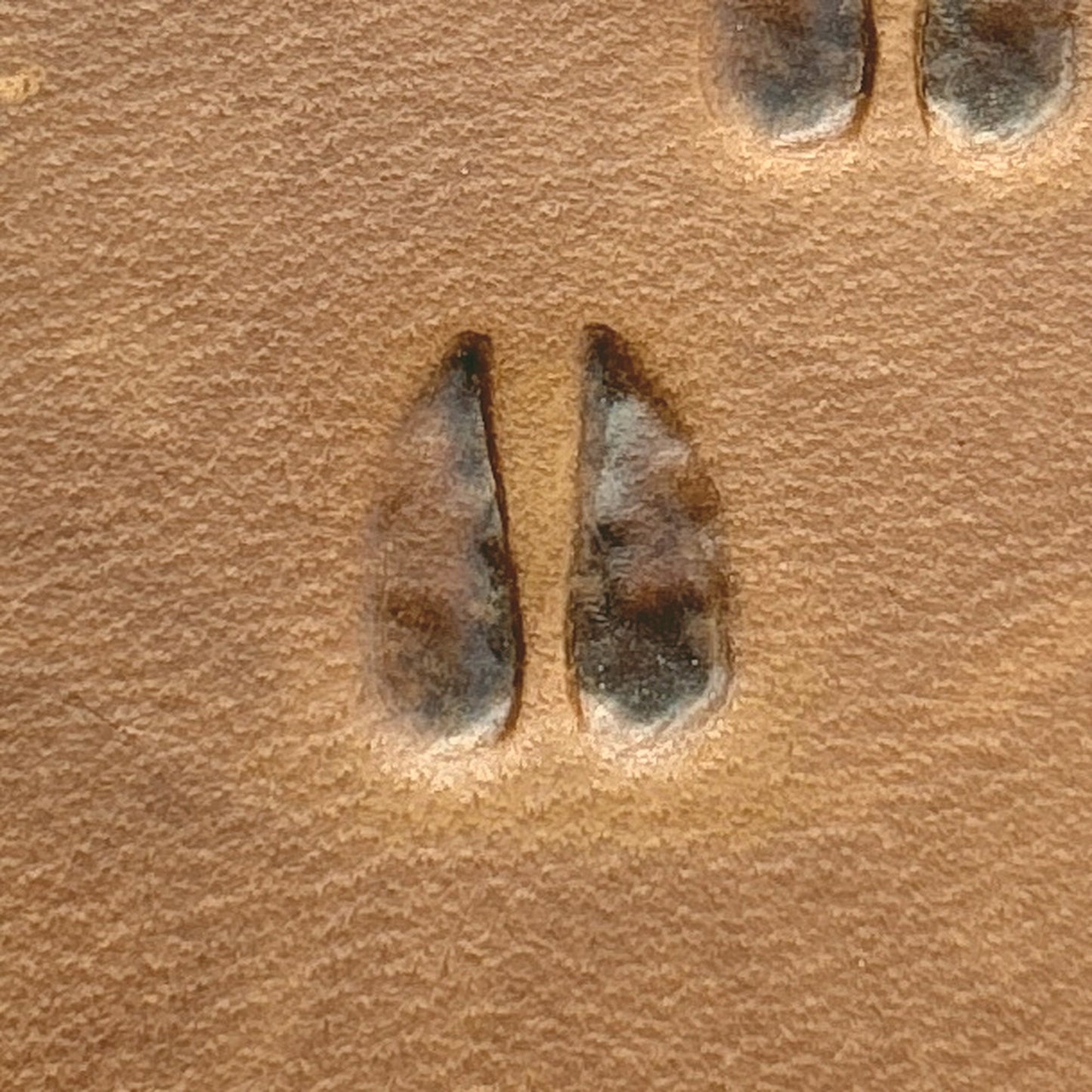Hoof Tracks leather stamp LT744 — single impression on veg-tan leather
