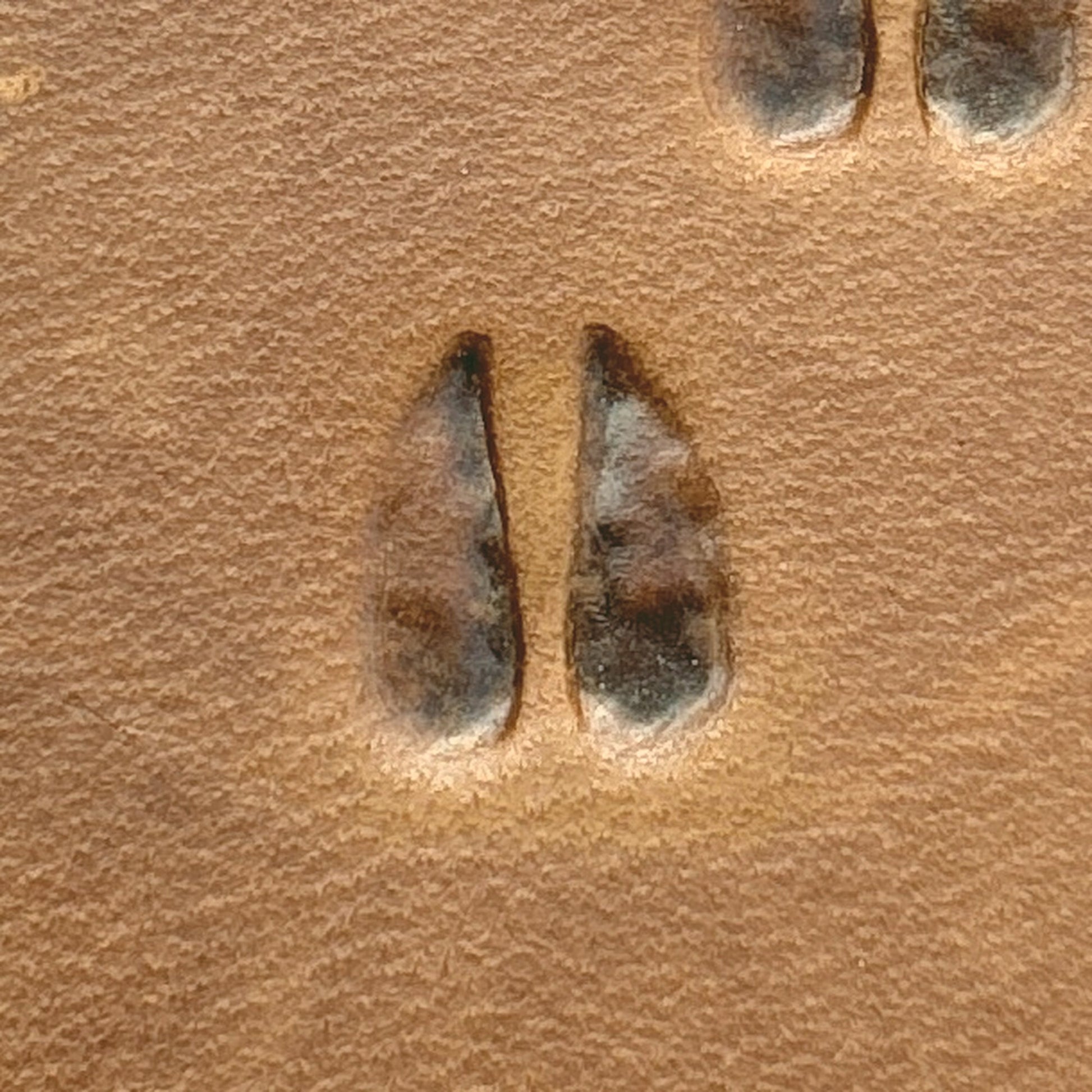 Hoof Tracks leather stamp LT744 — single impression on veg-tan leather