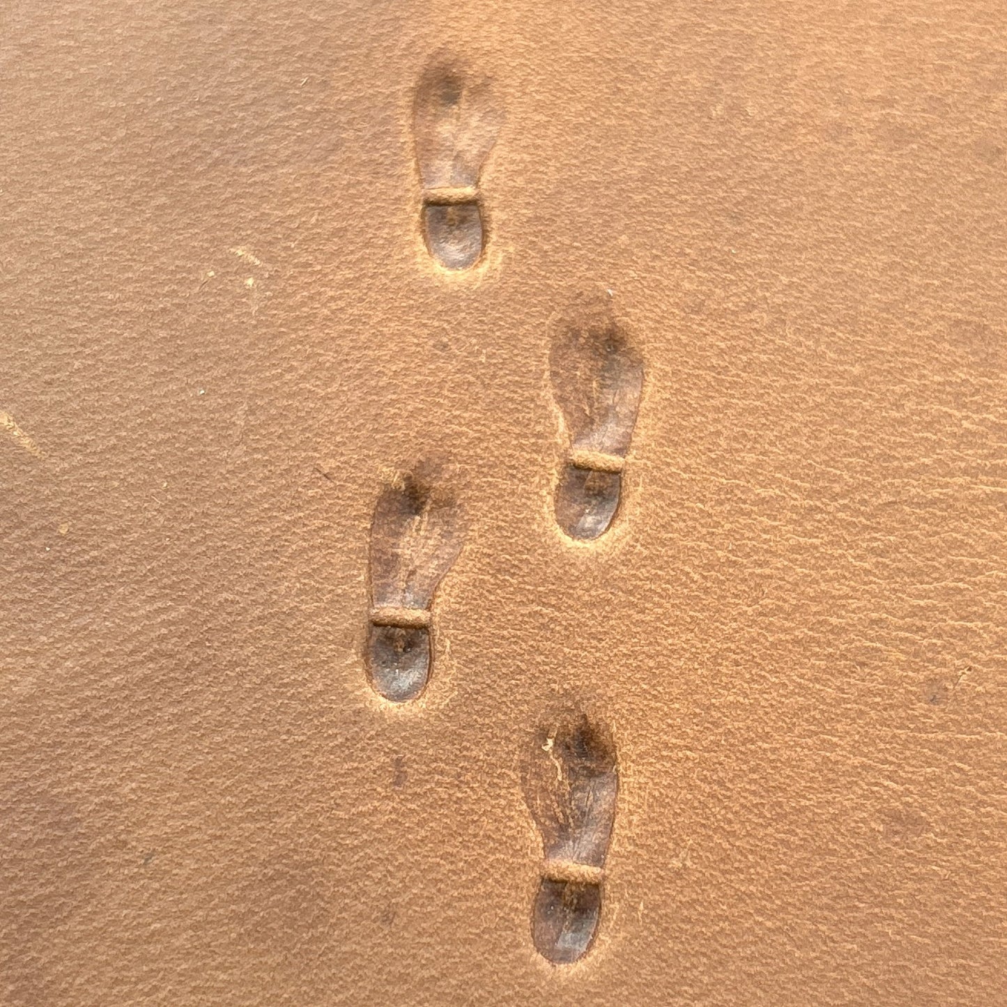 Shoe Footprint leather stamp LT745 — pattern imprint on veg-tan leather