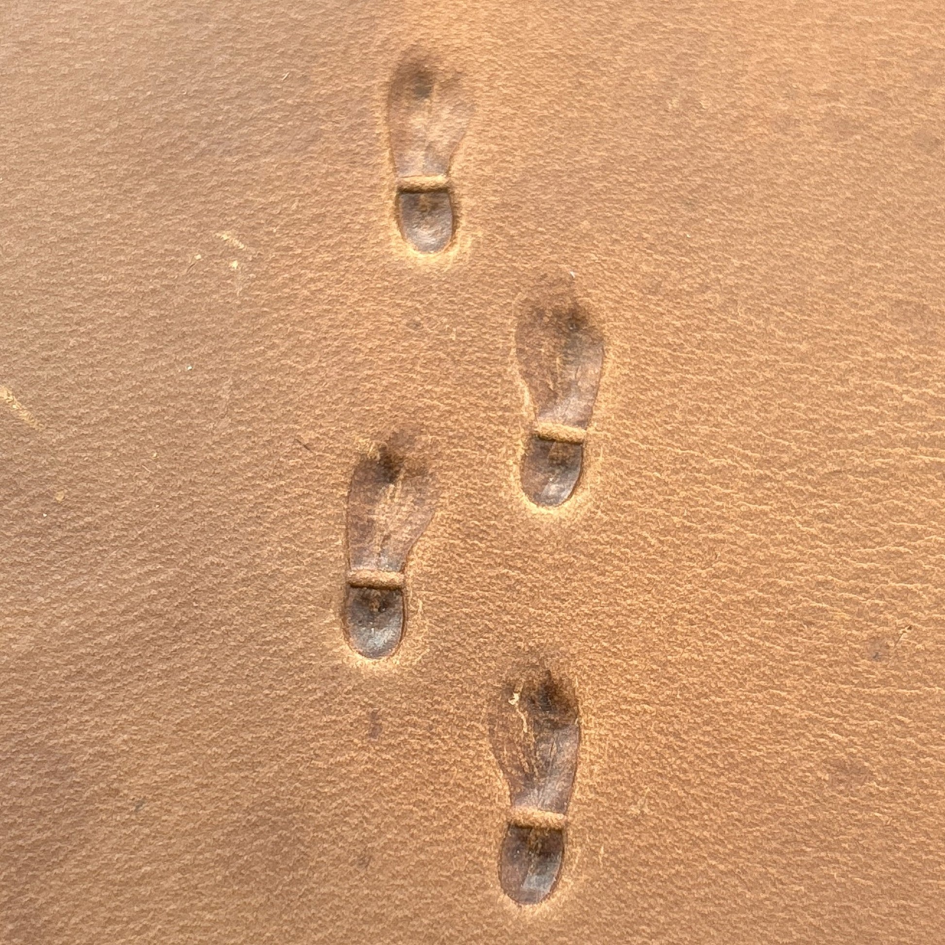 Shoe Footprint leather stamp LT745 — pattern imprint on veg-tan leather