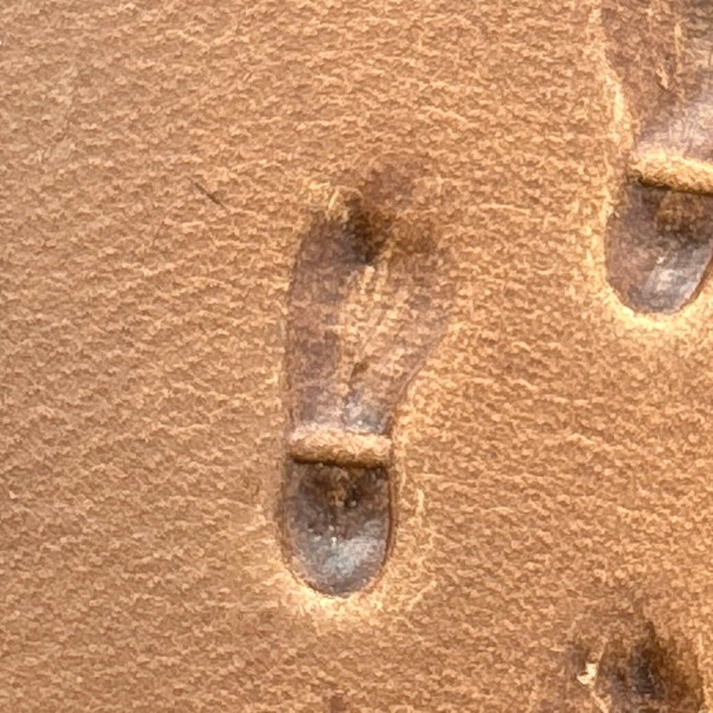 Shoe Footprint leather stamp LT745 — pattern imprint on veg-tan leather