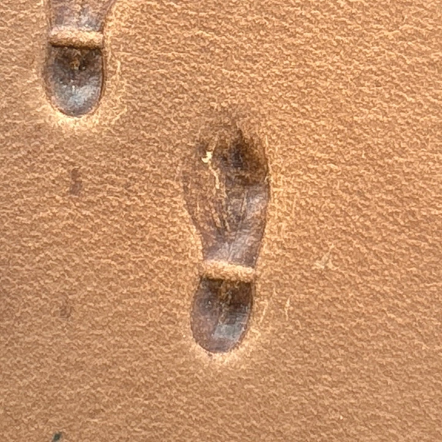 Shoe Footprint leather stamp LT745 — single impression on veg-tan leather