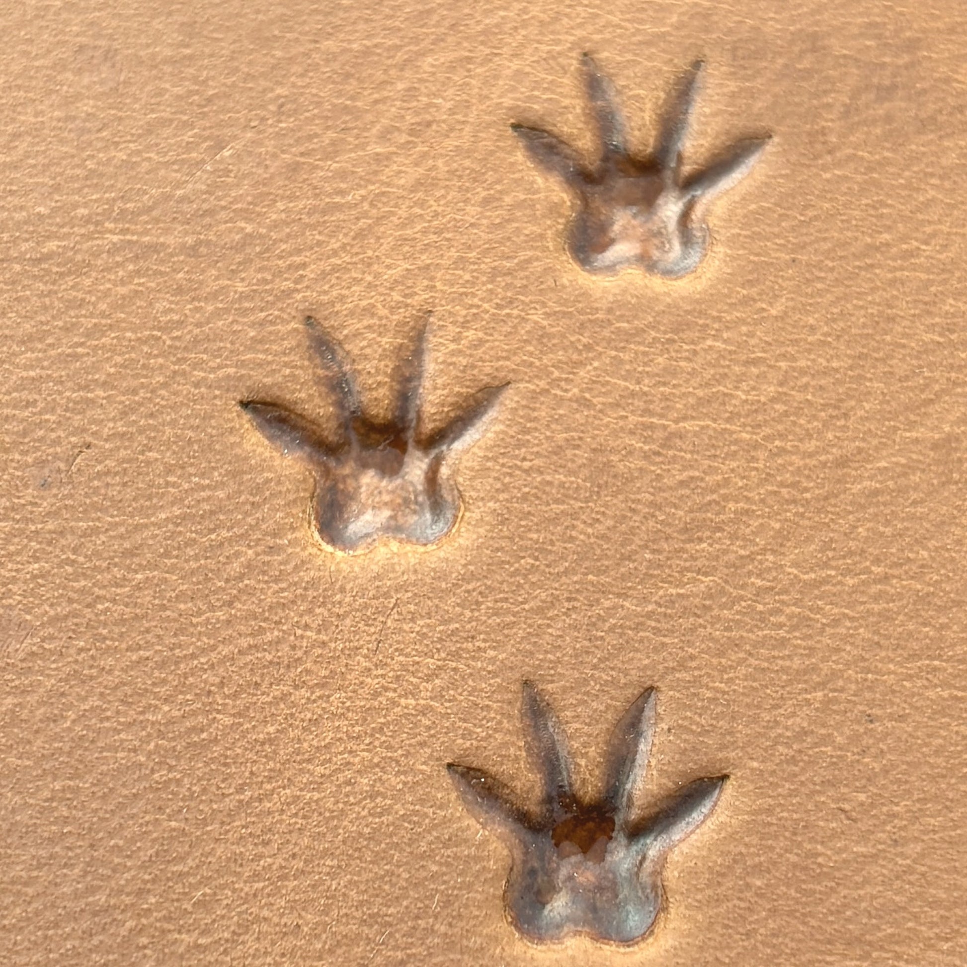 Rat Tracks leather stamp LT746 — pattern imprint on veg-tan leather