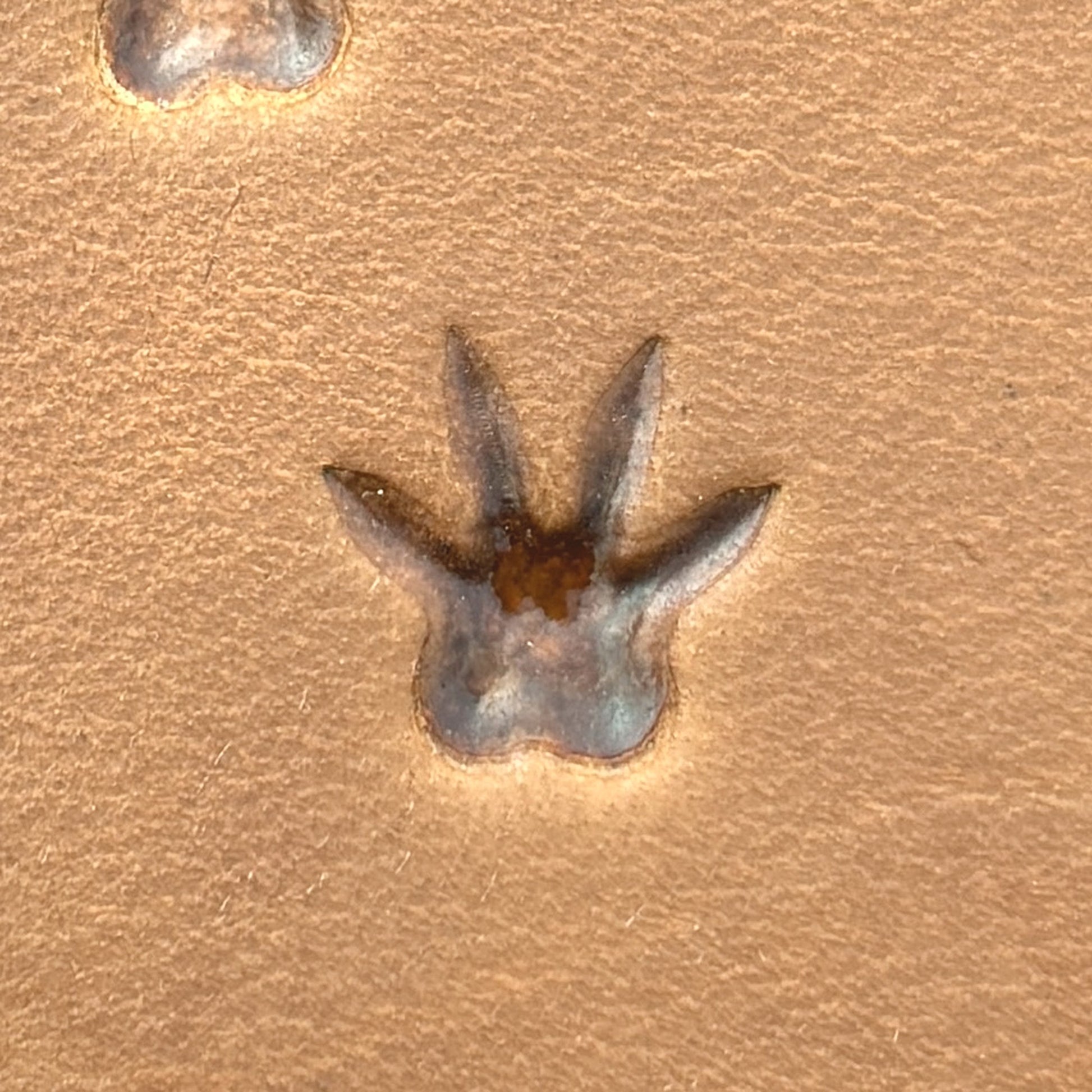 Rat Tracks leather stamp LT746 — single impression on veg-tan leather