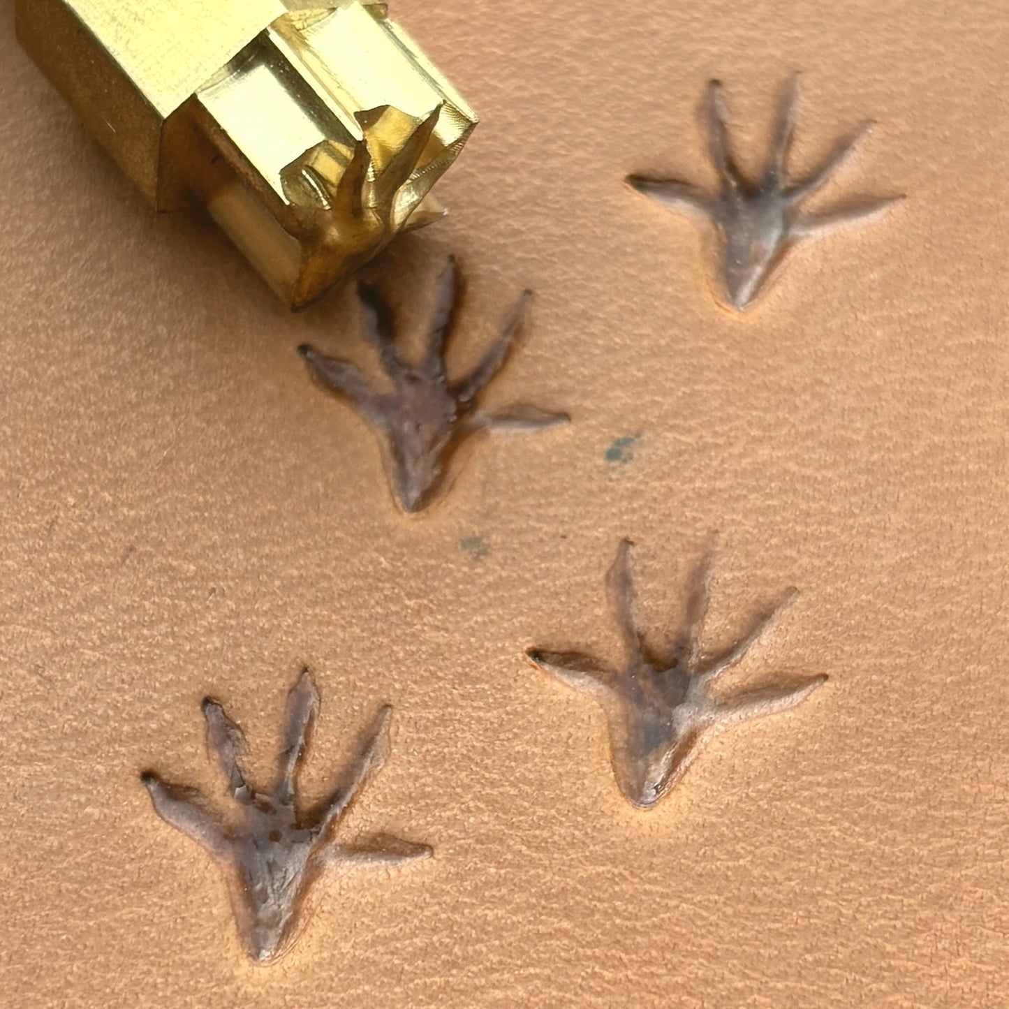 Rat Hind Tracks Footprint leather stamp LT747 — brass stamping tool with imprint on natural veg-tan leather