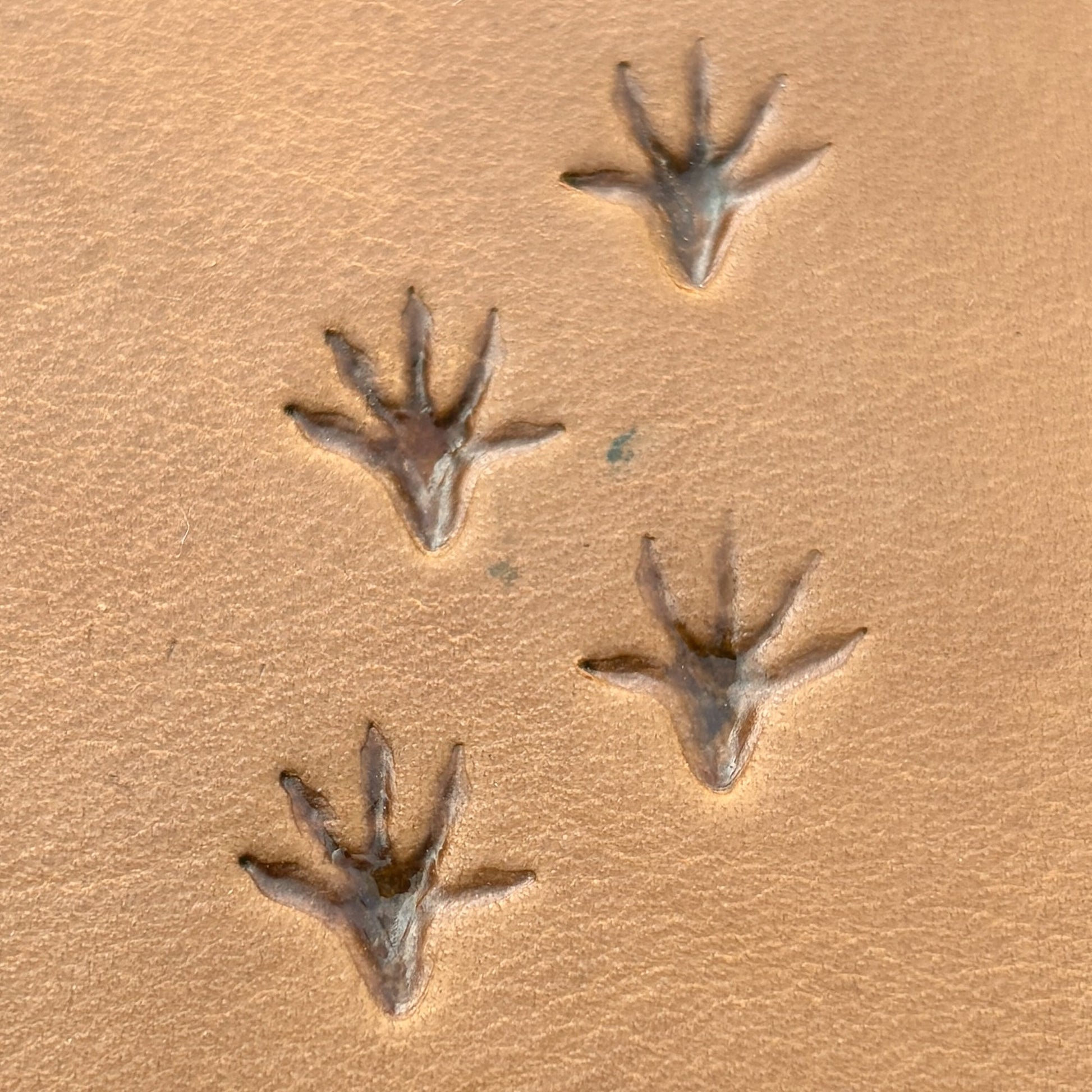 Rat Hind Tracks Footprint leather stamp LT747 — pattern imprint on veg-tan leather