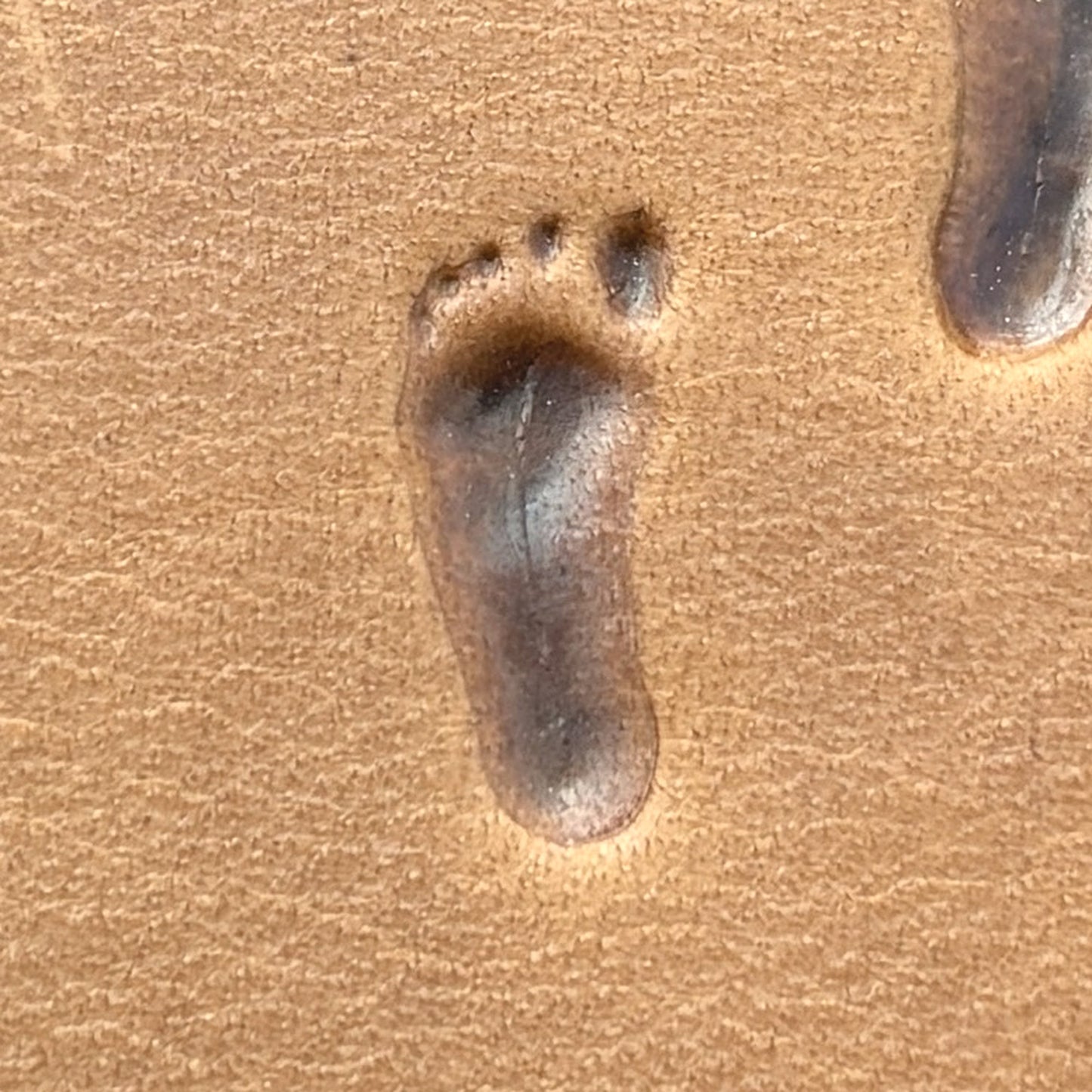 Bare Footprint leather stamp LT748 — pattern imprint on veg-tan leather
