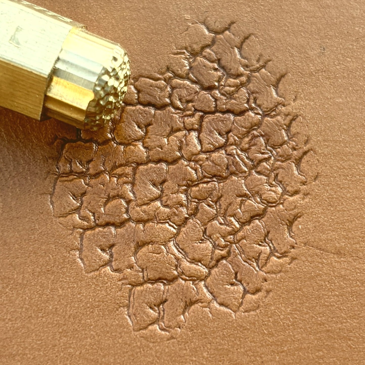 Cracked Texture leather stamp LT750 — brass stamping tool with imprint on natural veg-tan leather