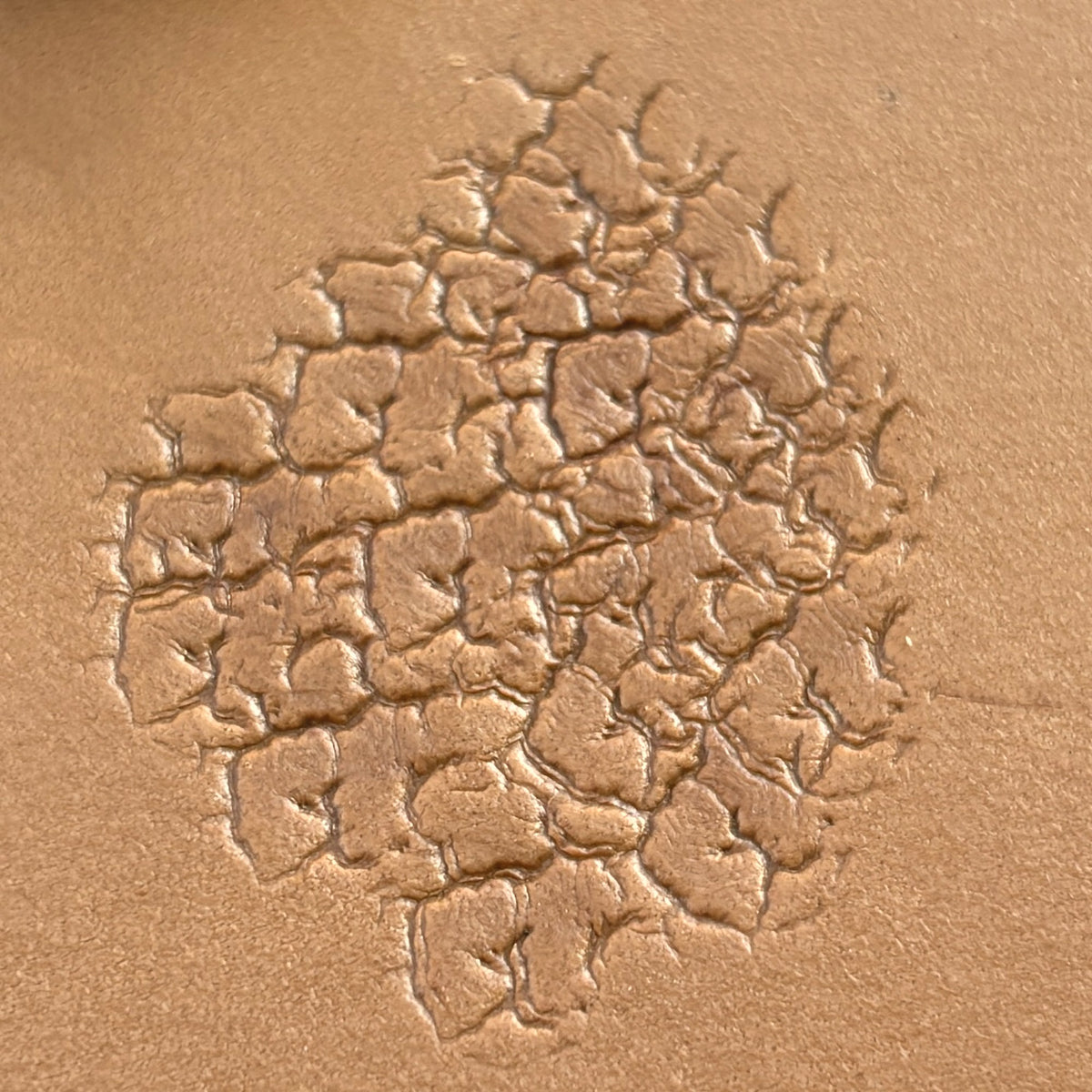 Cracked Texture leather stamp LT750 — pattern imprint on veg-tan leather