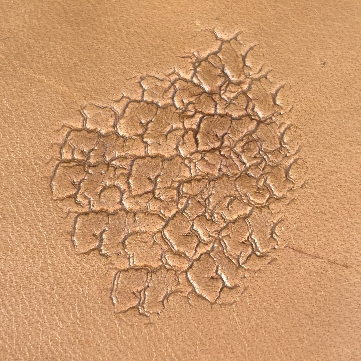 Cracked Texture leather stamp LT750 — pattern imprint on veg-tan leather