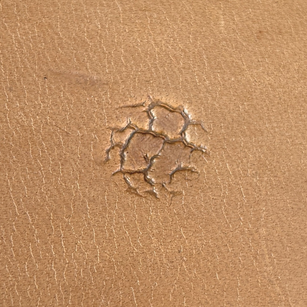 Cracked Texture leather stamp LT750 — single impression on veg-tan leather