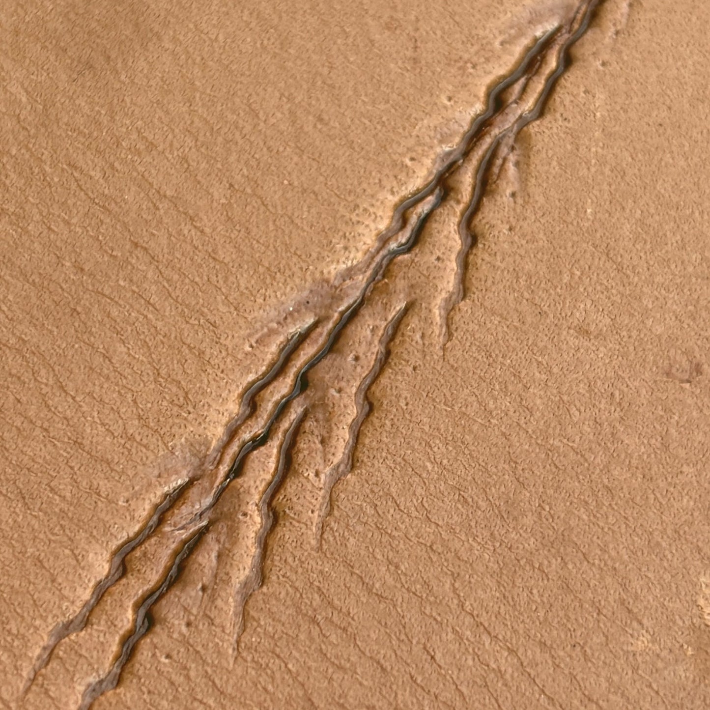 Claw Marks Paw leather stamp LT758 — pattern imprint on veg-tan leather