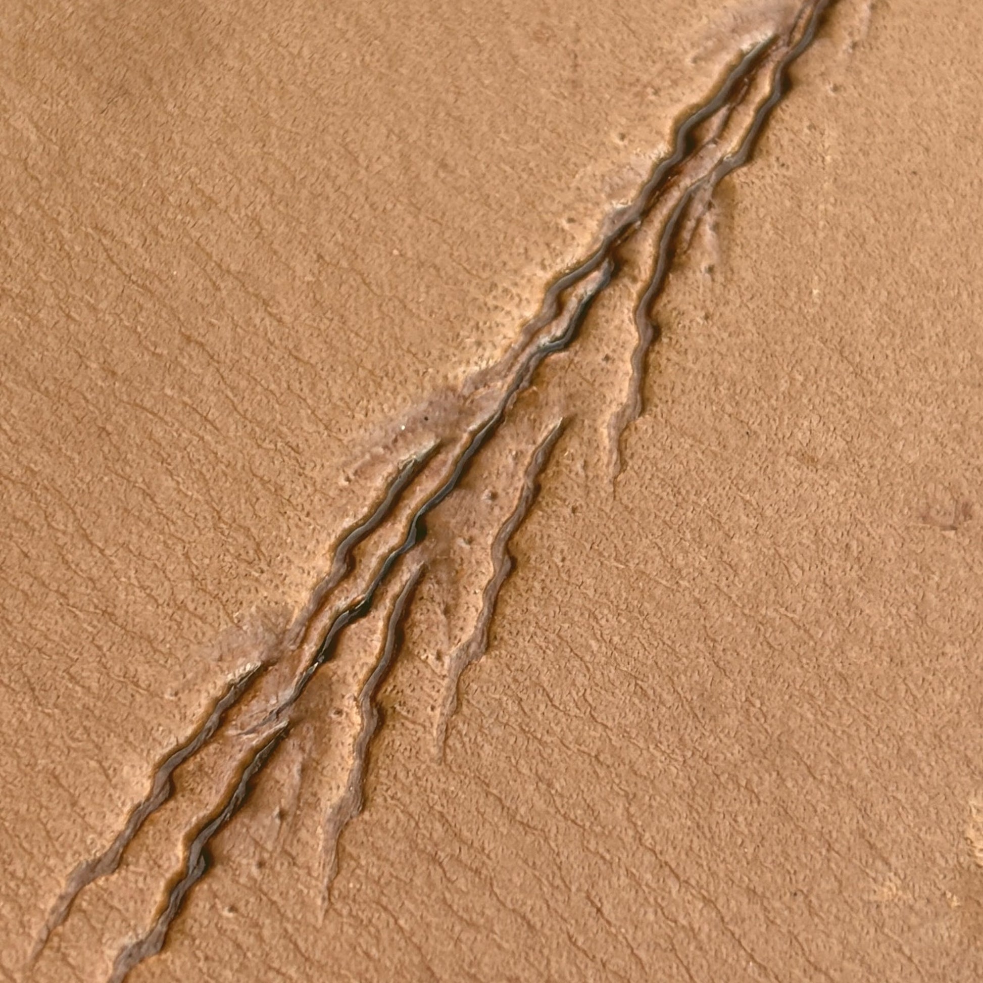 Claw Marks Paw leather stamp LT758 — pattern imprint on veg-tan leather