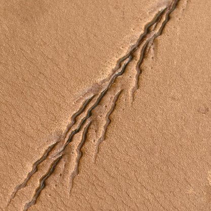Claw Marks Paw leather stamp LT758 — pattern imprint on veg-tan leather