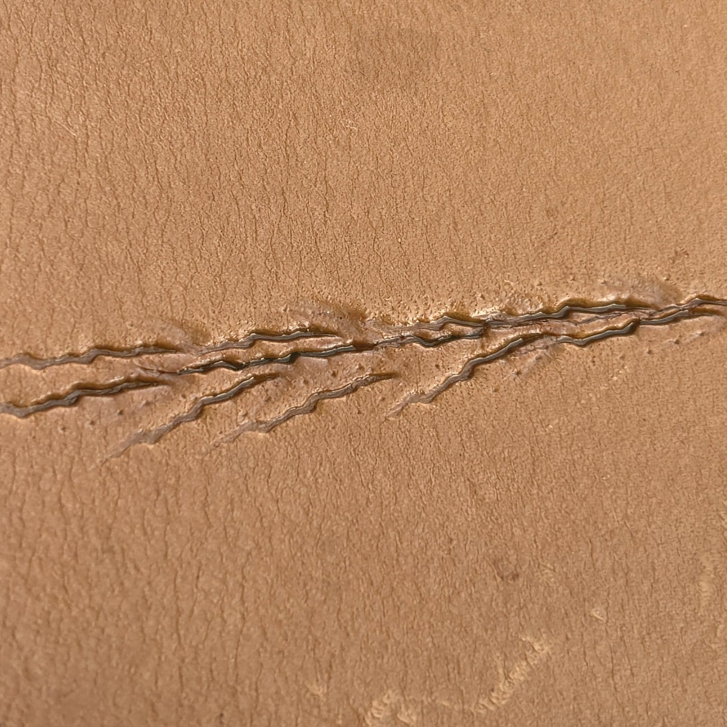 Claw Marks Paw leather stamp LT758 — pattern imprint on veg-tan leather