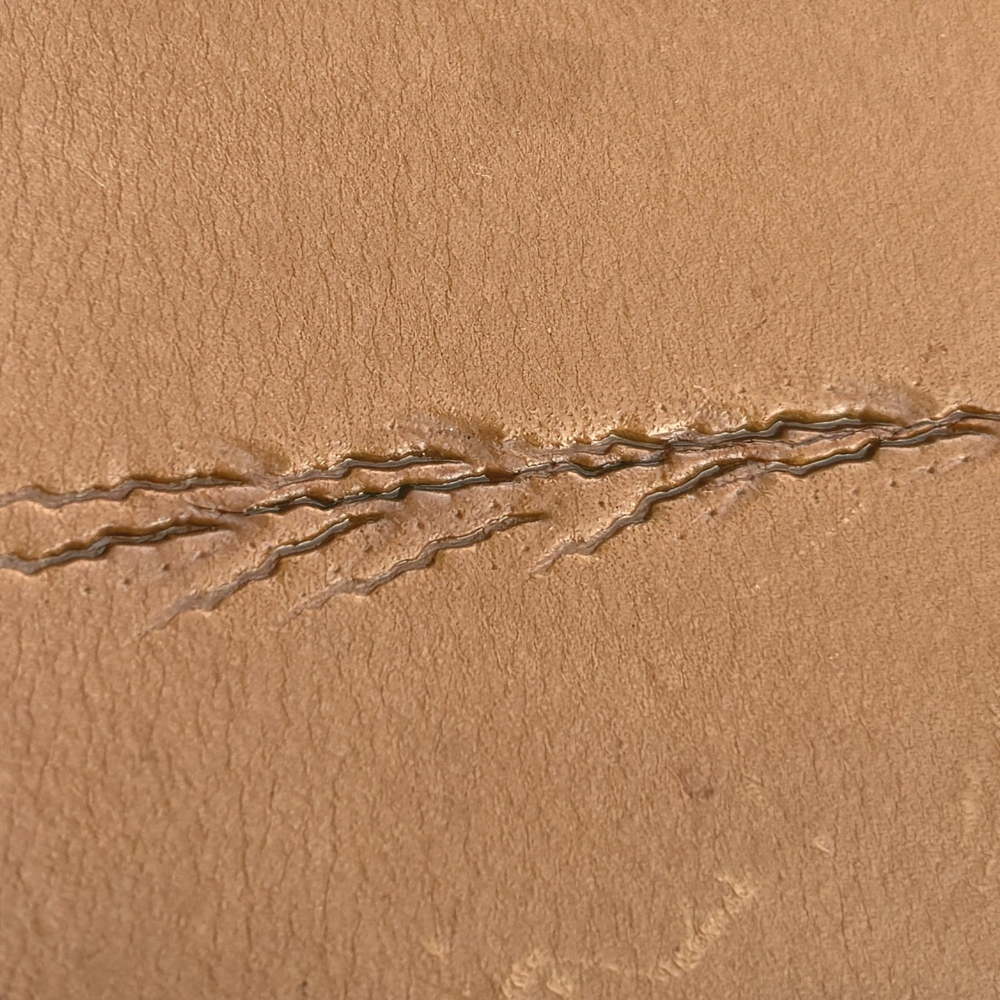 Claw Marks Paw leather stamp LT758 — pattern imprint on veg-tan leather