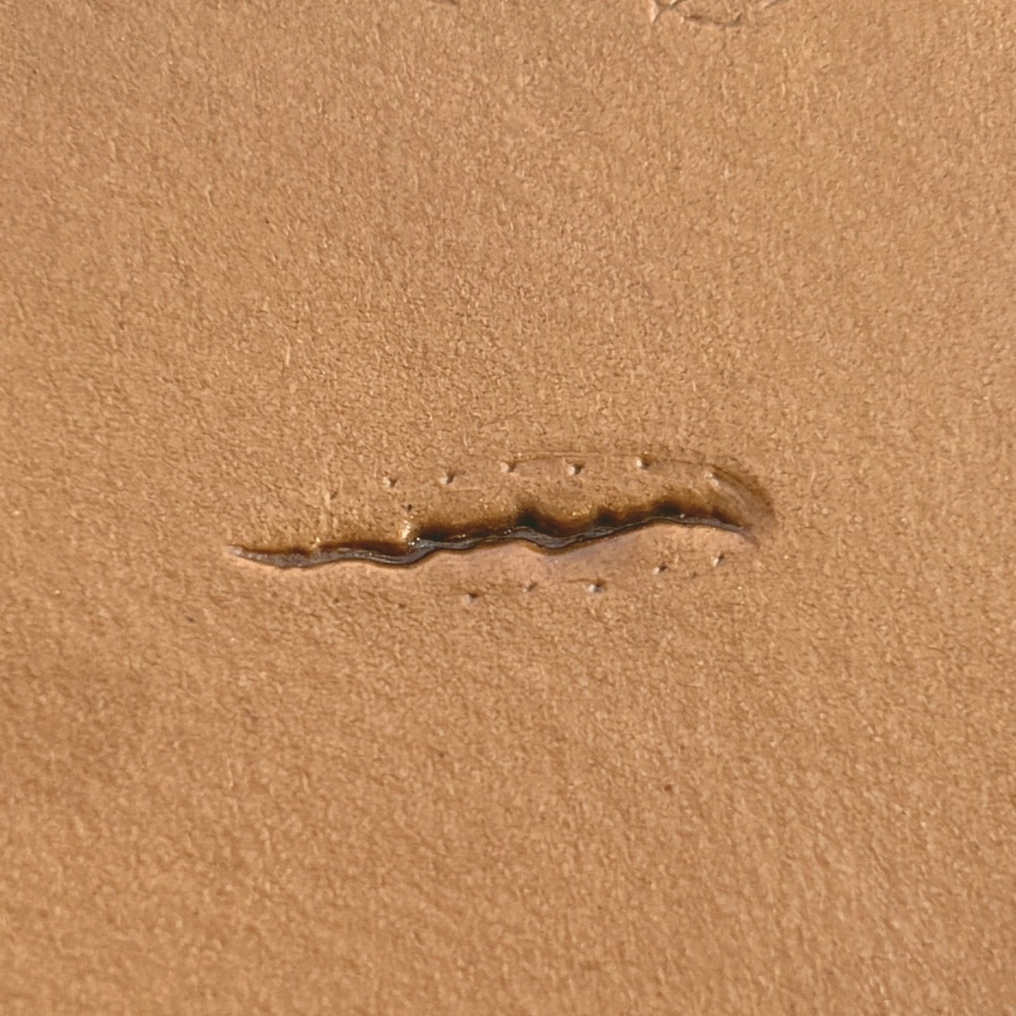 Claw Marks Paw leather stamp LT758 — single impression on veg-tan leather