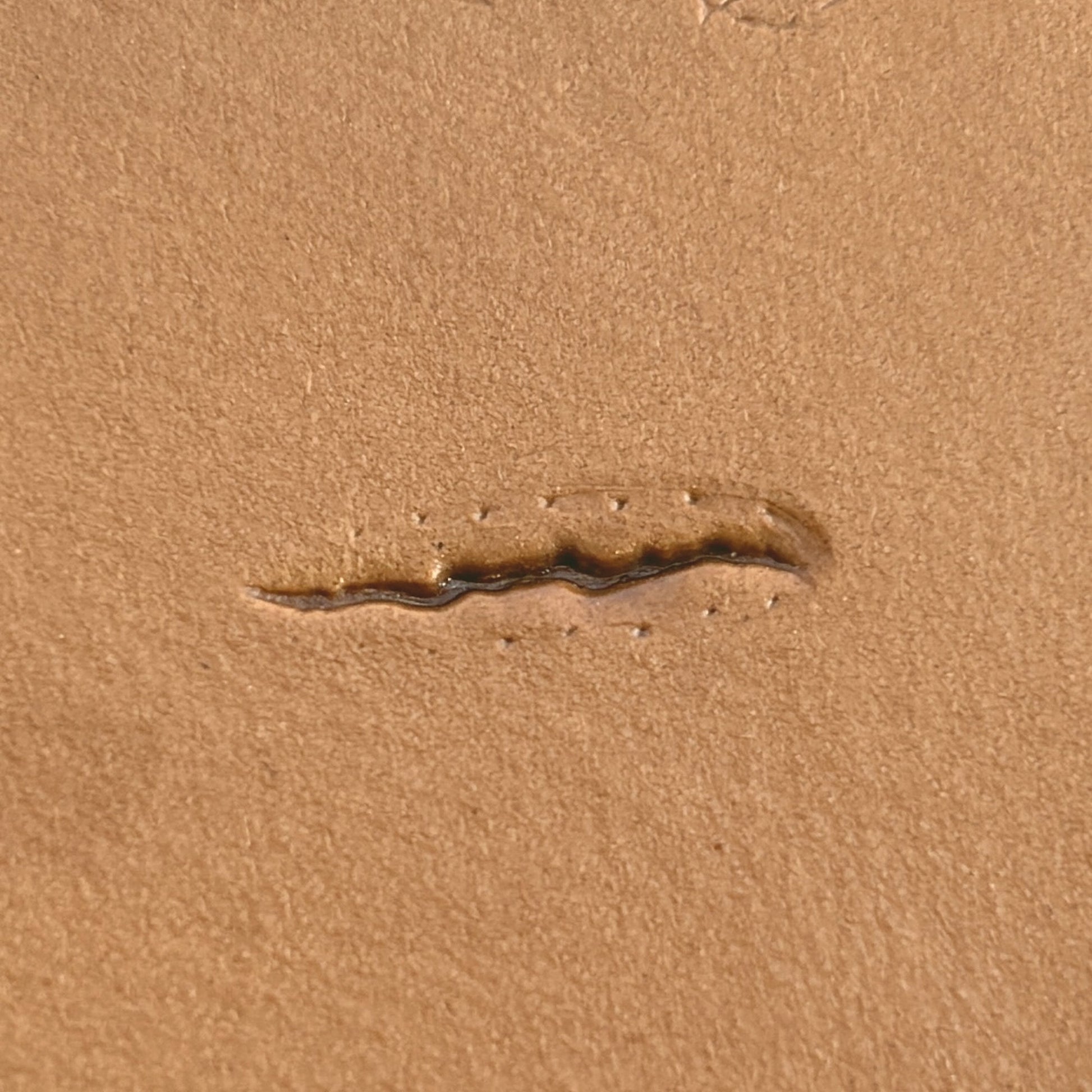 Claw Marks Paw leather stamp LT758 — single impression on veg-tan leather