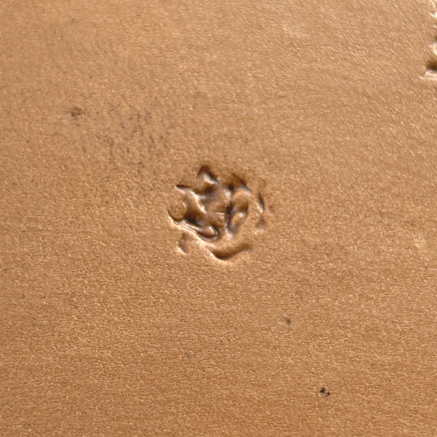 Cluster Textured leather stamp LT768 — single impression on veg-tan leather