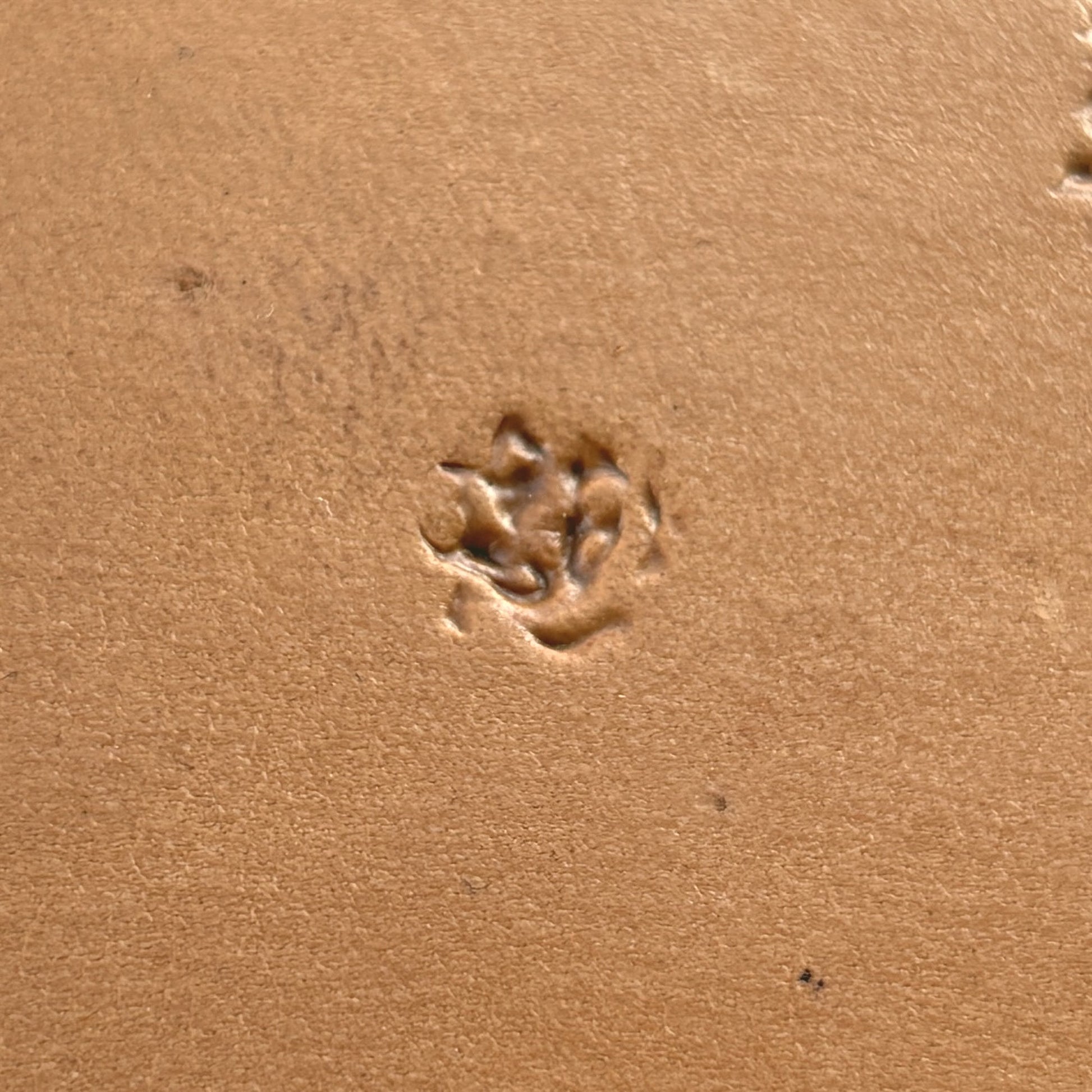 Cluster Textured leather stamp LT768 — single impression on veg-tan leather