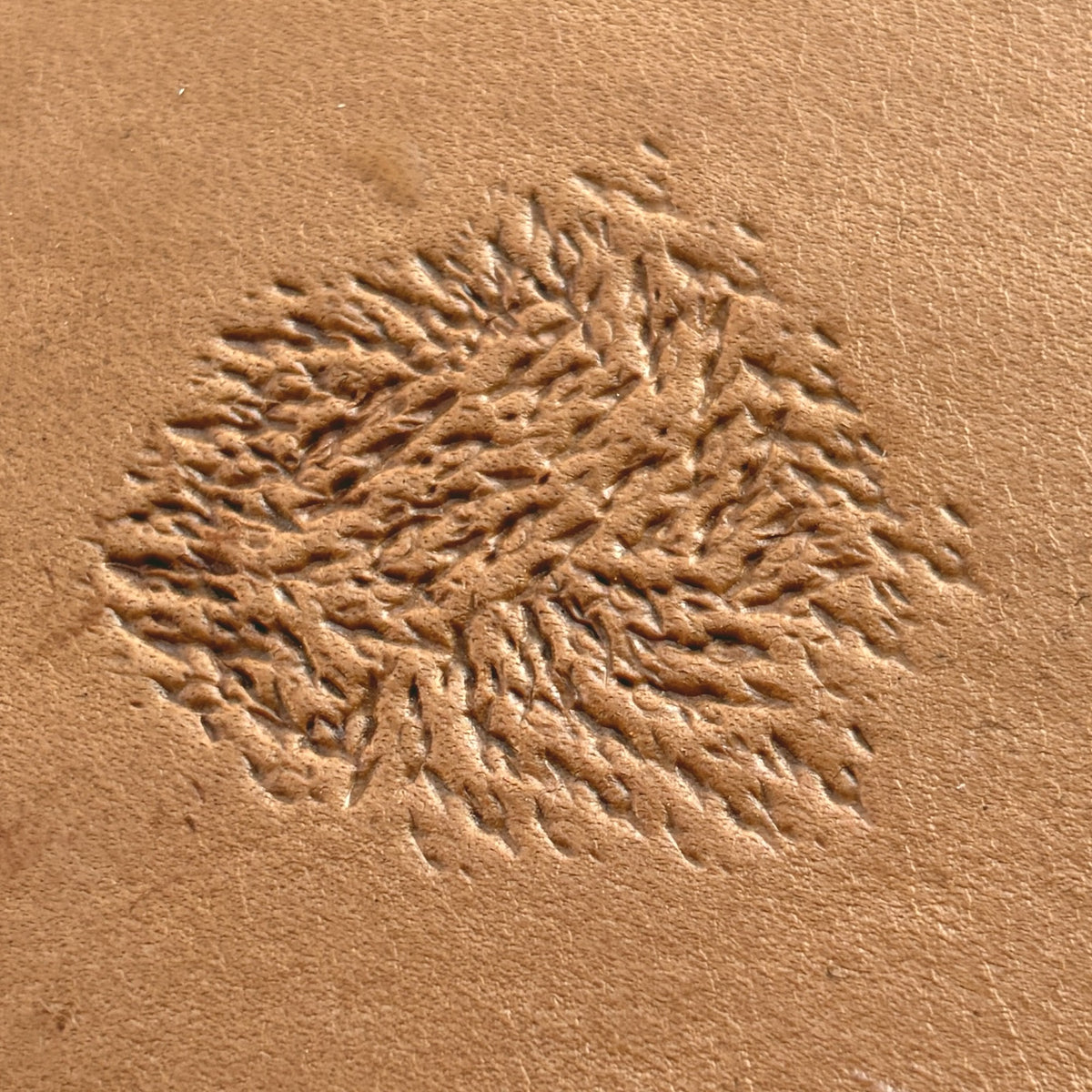 Fur Texture leather stamp LT769 — pattern imprint on veg-tan leather