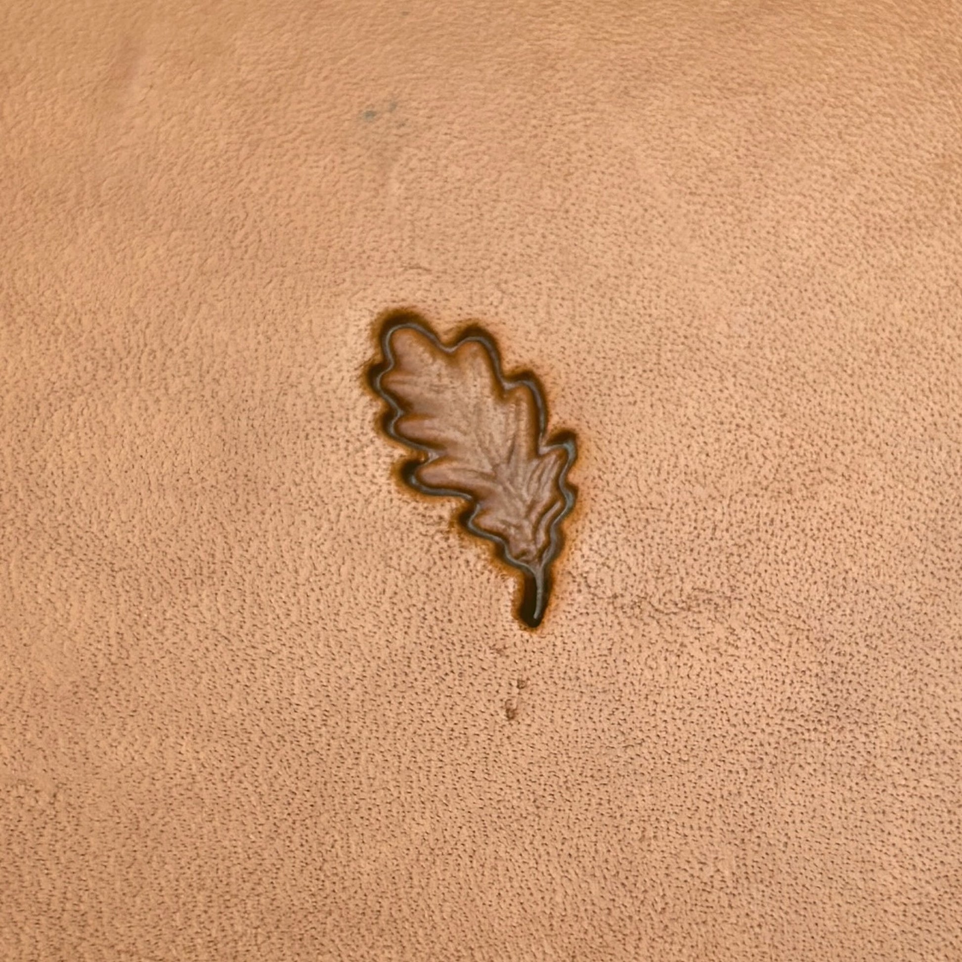 Oak Leaf leather stamp LT783 — pattern imprint on veg-tan leather