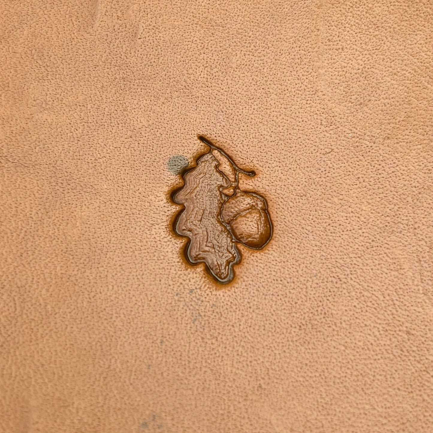 Acorn Oak Leaf leather stamp LT784 — pattern imprint on veg-tan leather