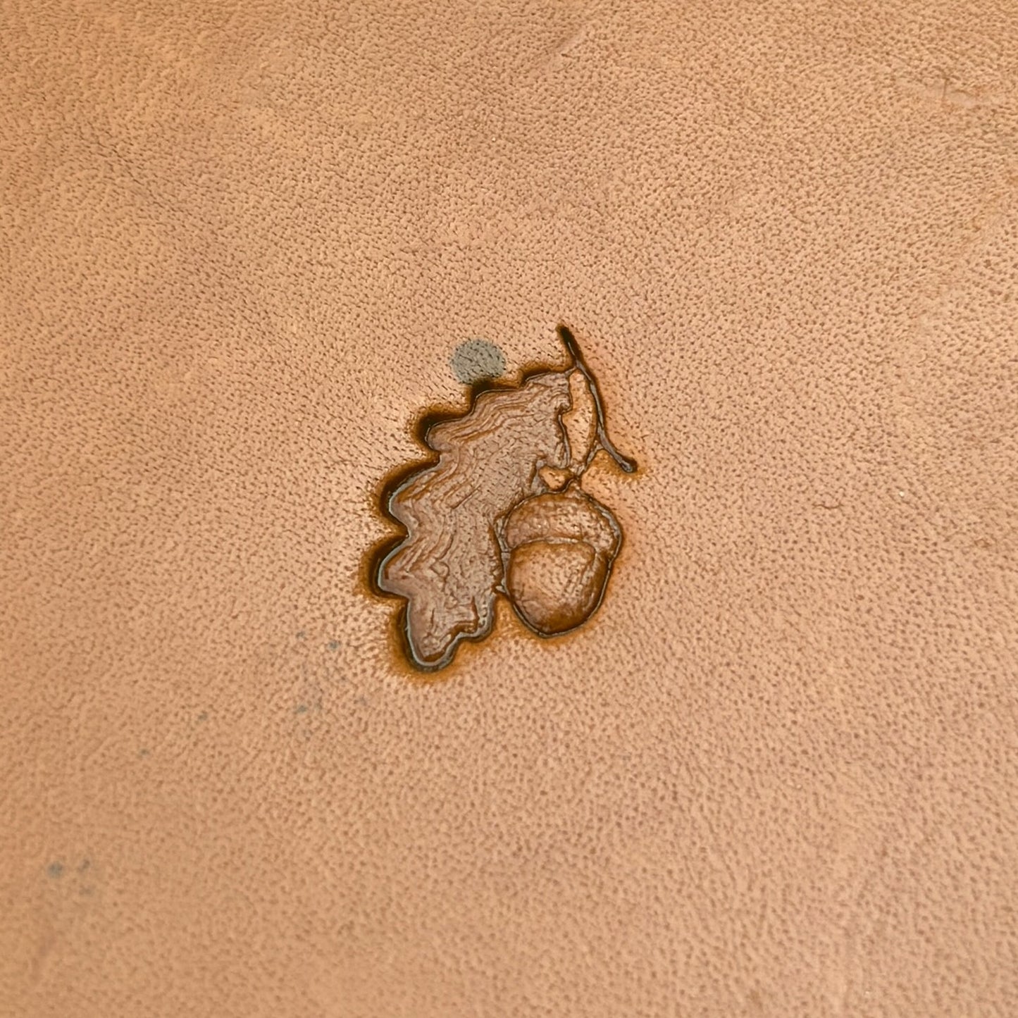 Acorn Oak Leaf leather stamp LT784 — single impression on veg-tan leather