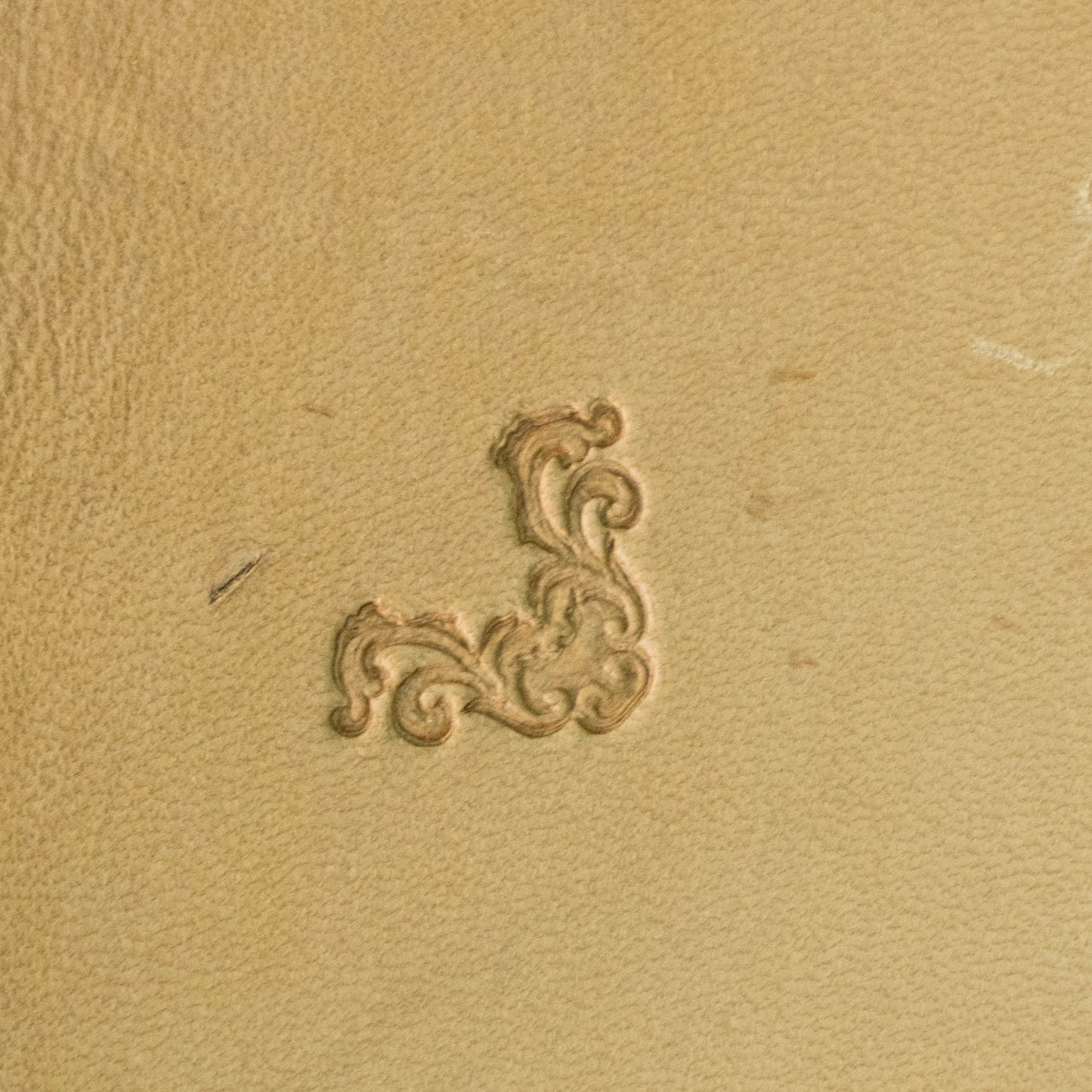 LT716 Ornate Flourish Leather Stamping Tool– Ornate Flourish 17x17mm (2/3" x 2/3")