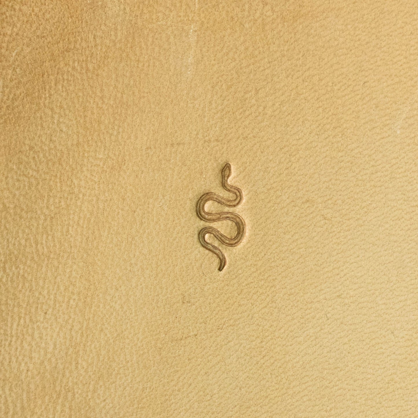 LT721 Snake Leather Stamping Tool–Curvy Line Snake 8x14mm (5/16" x 5/9")