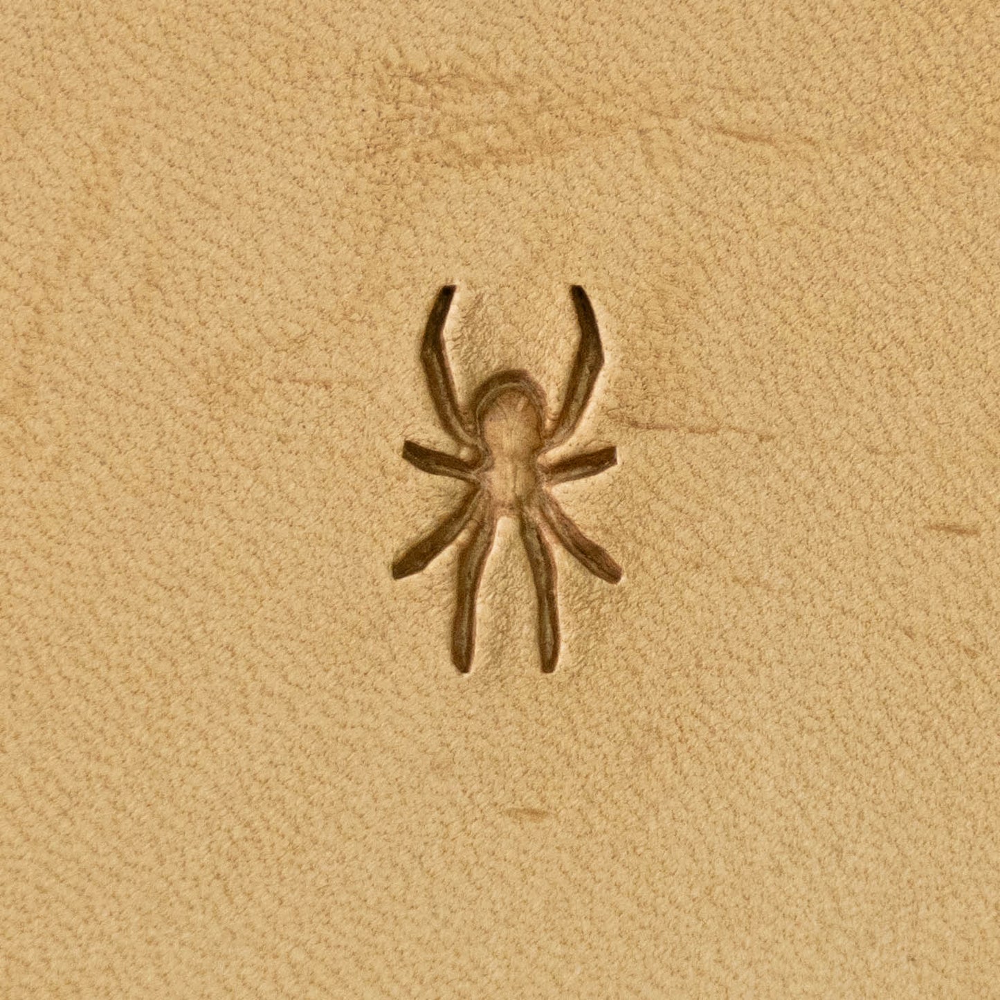 LT720 Animal Leather Stamping Tool for Professional Crafters – Spider Shape Animal 8x15mm (5/16" x 7/12")