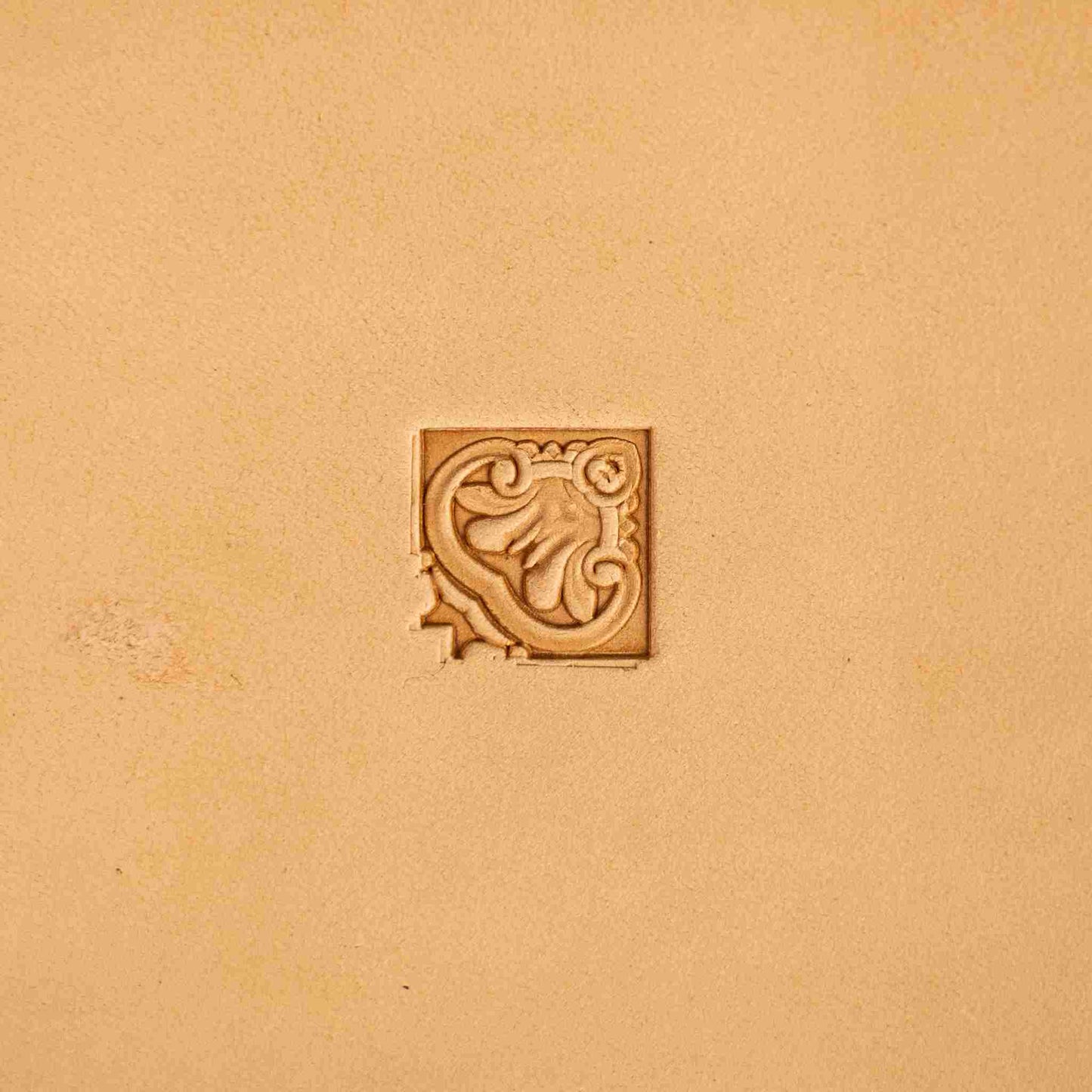 Ornate leather stamp LT146 — corner stamp impression on veg-tan leather